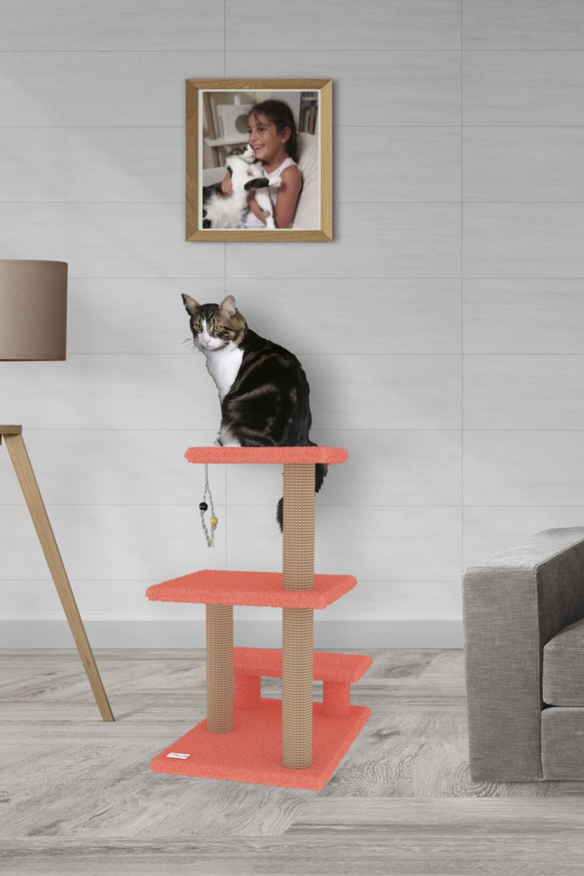 Nuis Pati Katlı Kedi Tırmalama - Turuncu