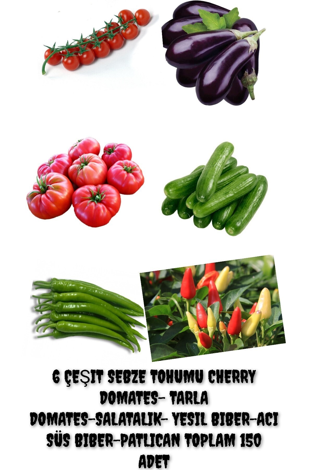 ÇİÇEKFLİX 6 Çeşıt Sebze Tohumu Cherry Domates- Tarla Domates-salatalık- Yesıl Bıber-acı Süs Bıber-patlıcan