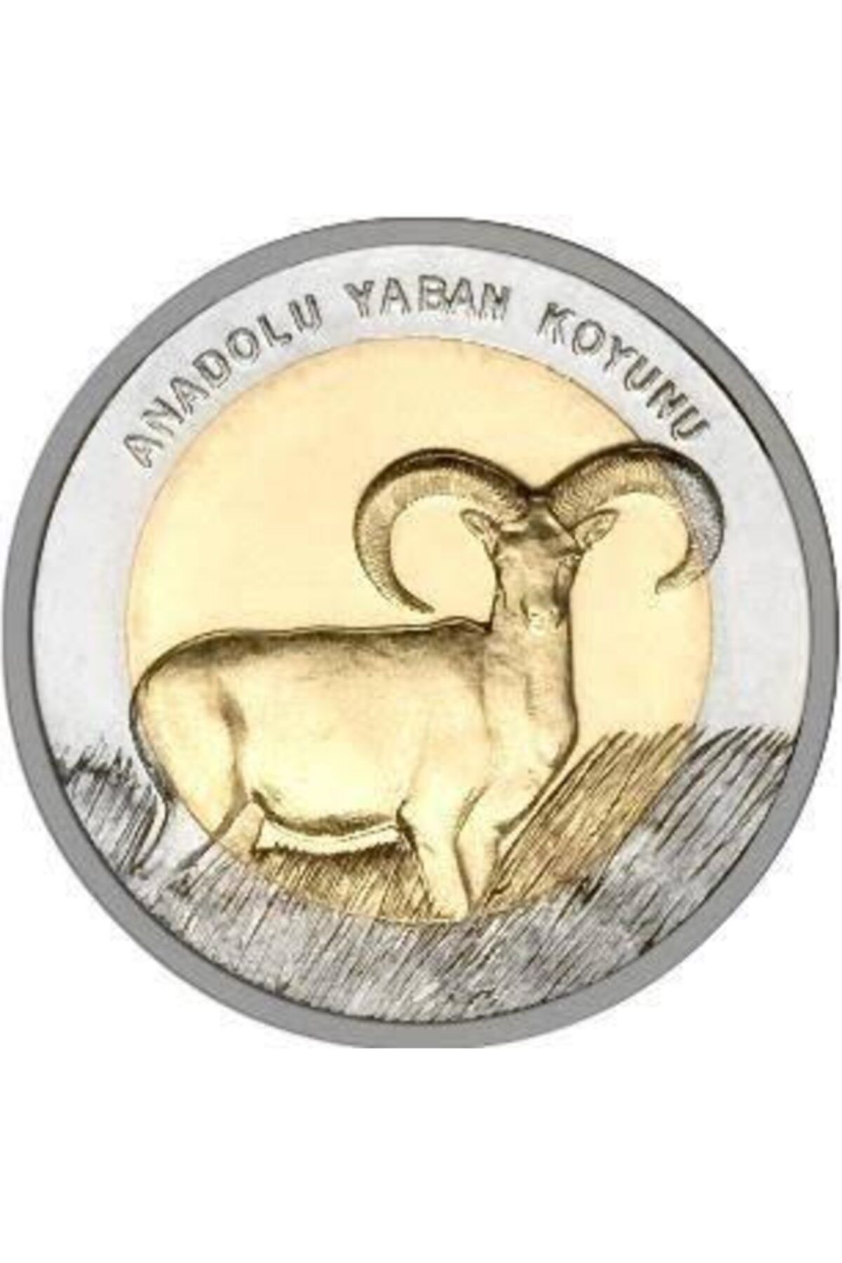 Darphane Anadolu Yaban Koyunu Hatıra Parası