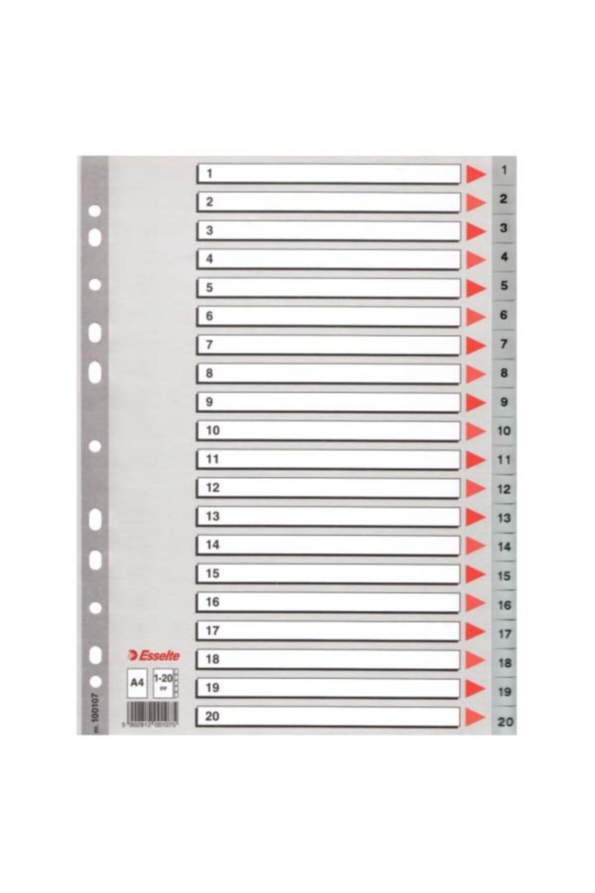 Esselte 100107 Seperatör A4 1-20 Rakam Gri