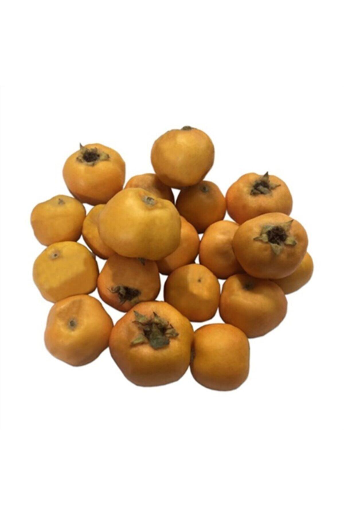 Sebze Meyve Dünyası Alıç  250 gr