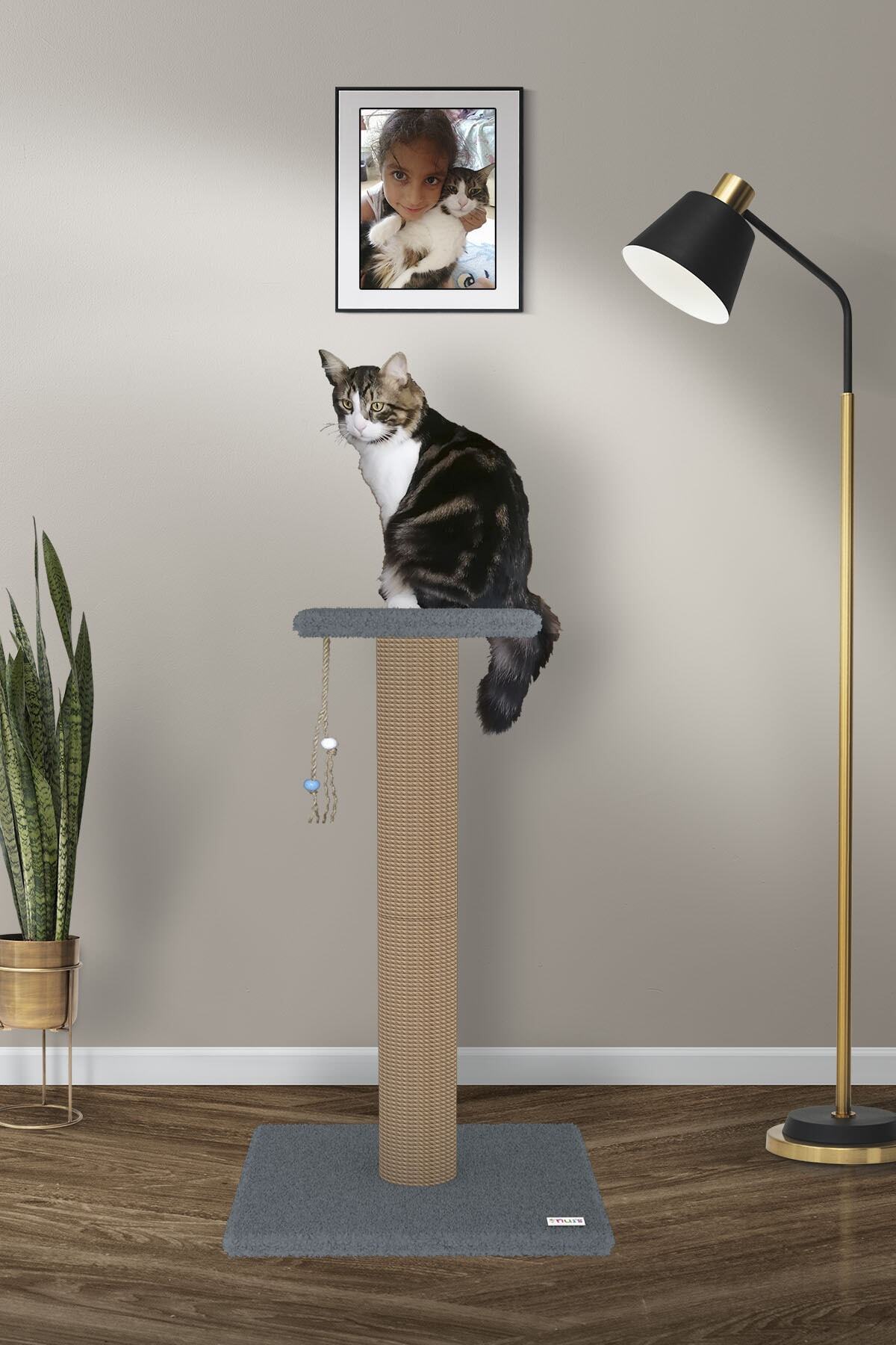 Nuis Kıpır 85 cm Kedi Tırmalama Gri