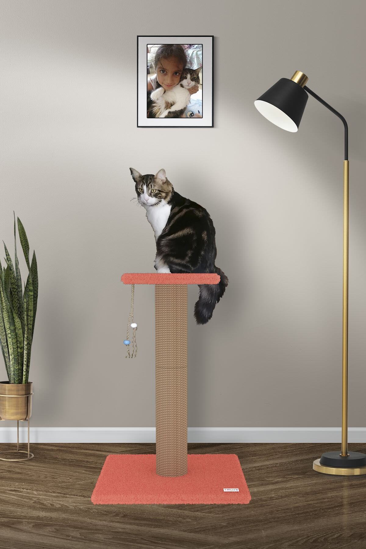 Nuis Pıtır 75 Cm Kedi Tırmalama - Turuncu