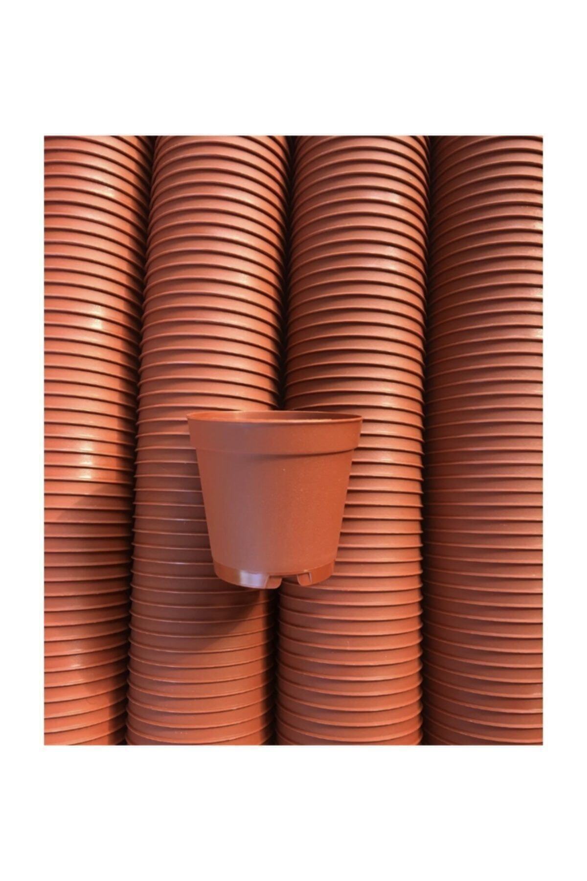 Tekpar 5.5 Cm Sukulent Kaktüs Saksısı 50 Ad.(kahverengi)