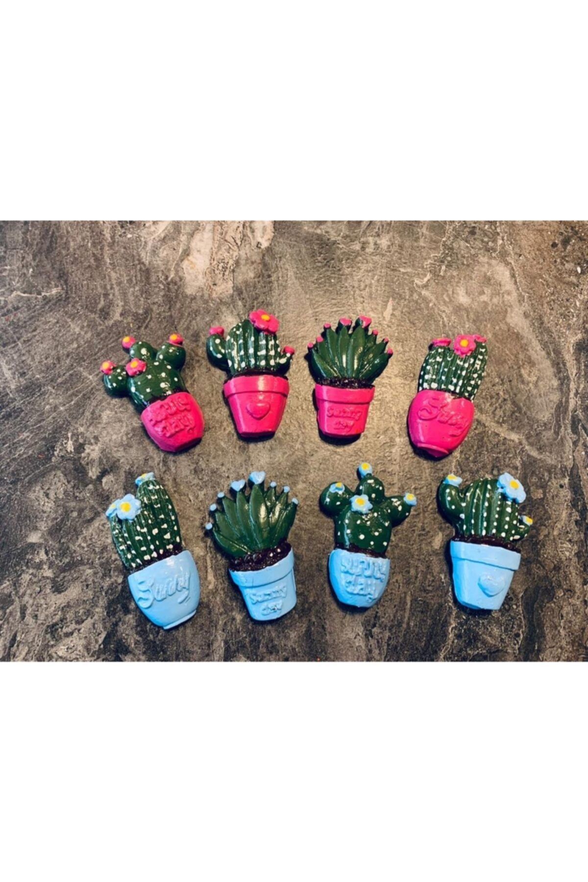 AlohamoraShop 8 Adet Buzdolabı Kaktüs Magnet