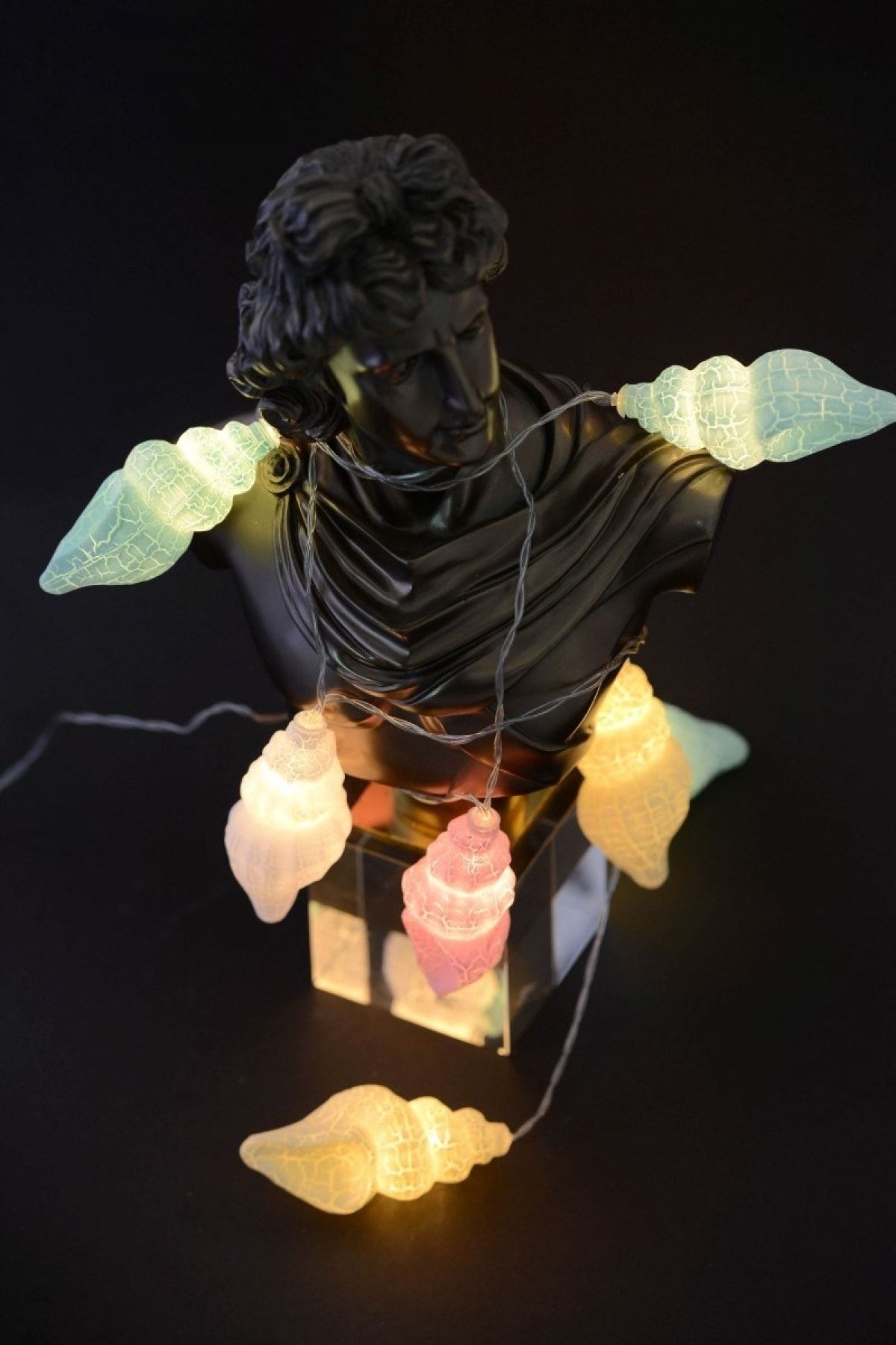 NO.8 HOUSE Deniz Kabuğu Led Işık Gece Lambası 215 cm