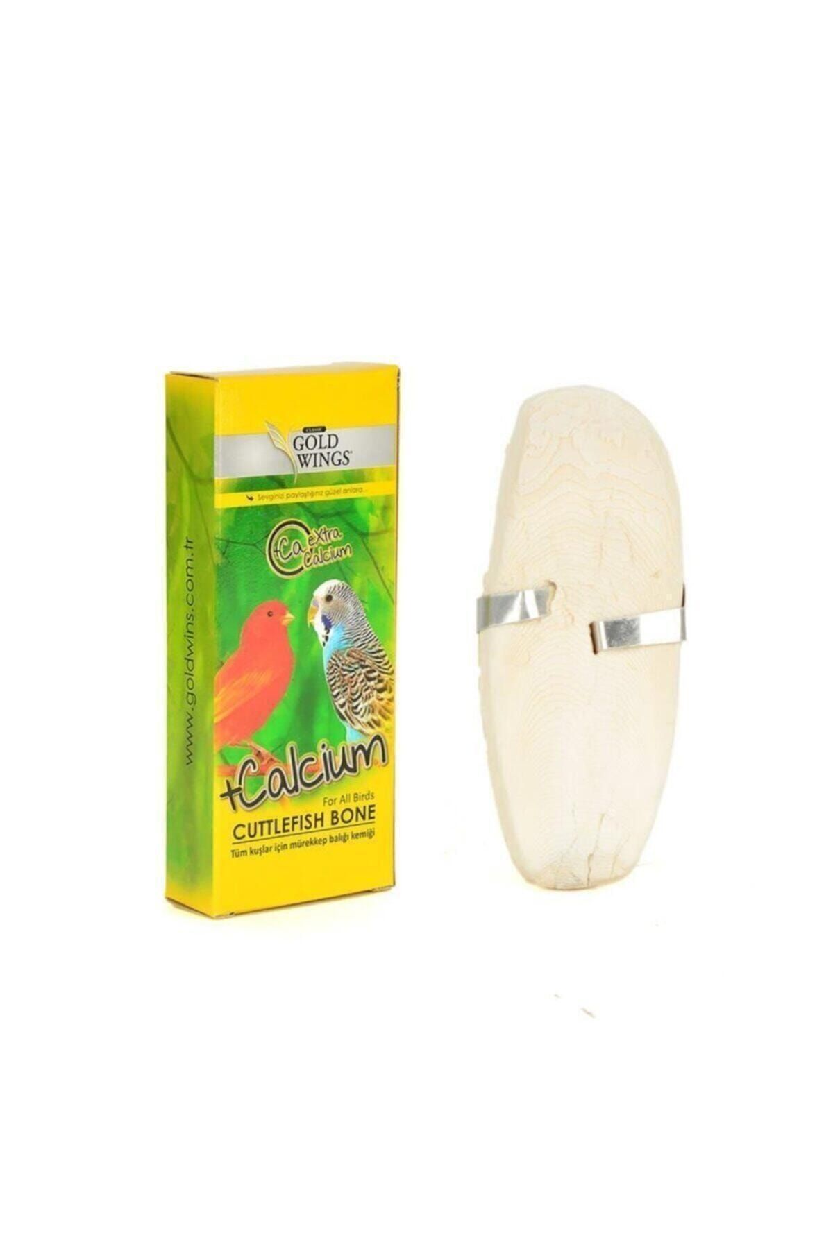 Gold Wings Classic Kutu Mürekkep Balığı Kemiği