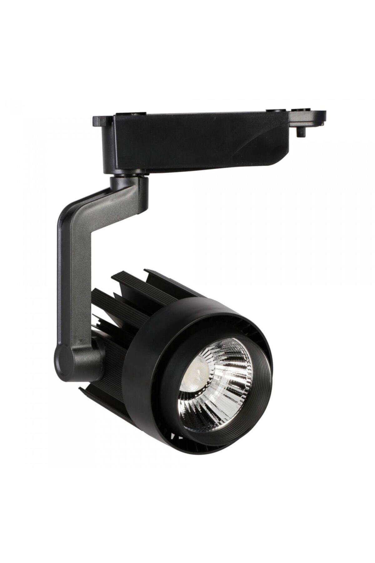YCL 30 W Led Ray Spot - Gün Işığı (3000k) - Siyah Kasa