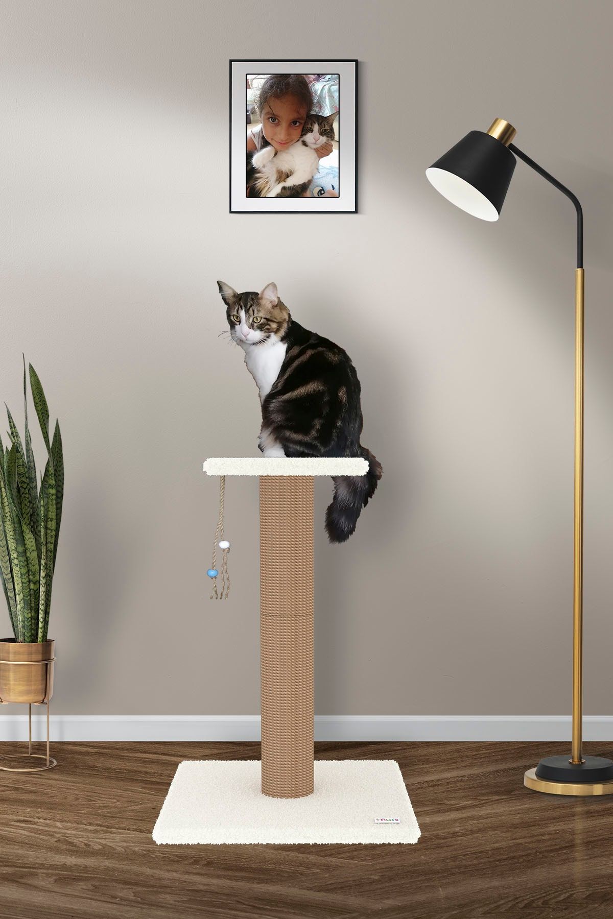 Nuis Pıtır 75 Cm Kedi Tırmalama - Beyaz