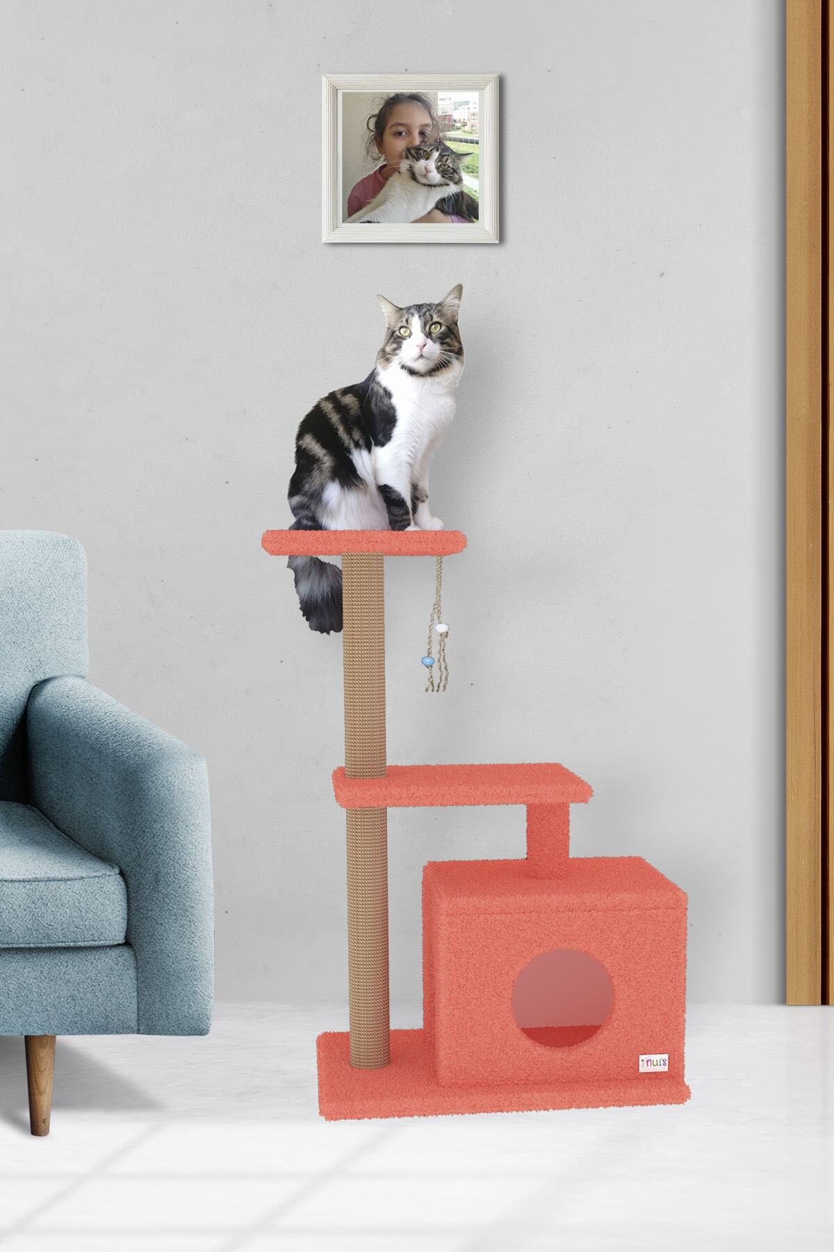 Nuis Yumoş Kedi Evi - Turuncu