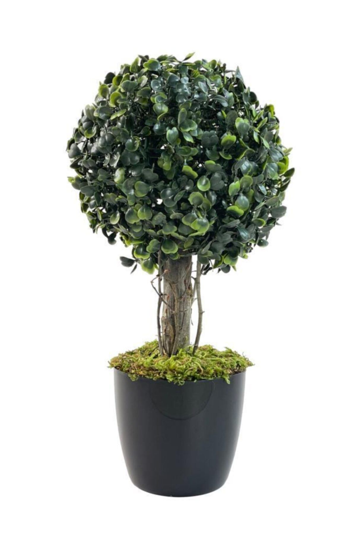 Nettenevime Yapay Ağaç Şimşir Top Tek Toplu 18cmx35cm Siyah Saksılı