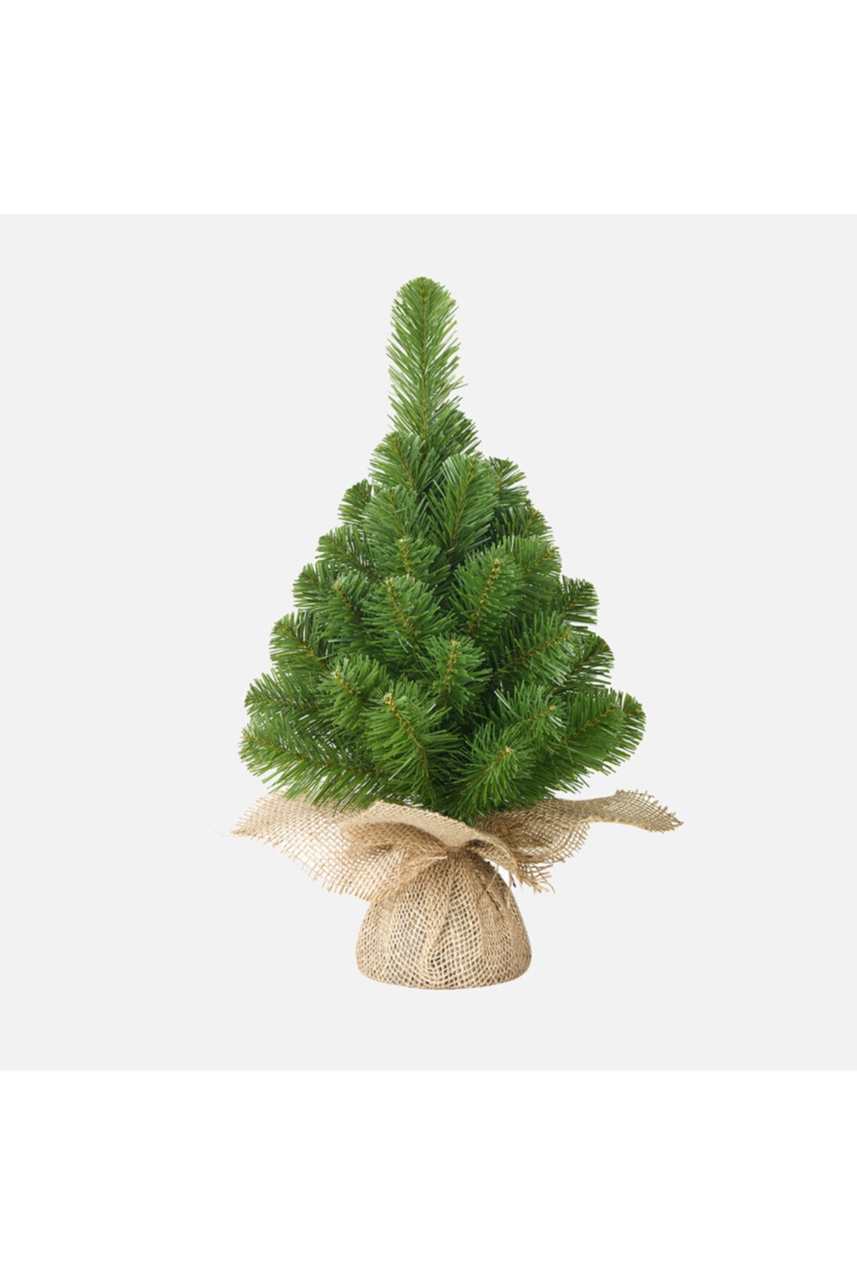 Sadece Nette Yılbaşı Çam Ağacı 30cm