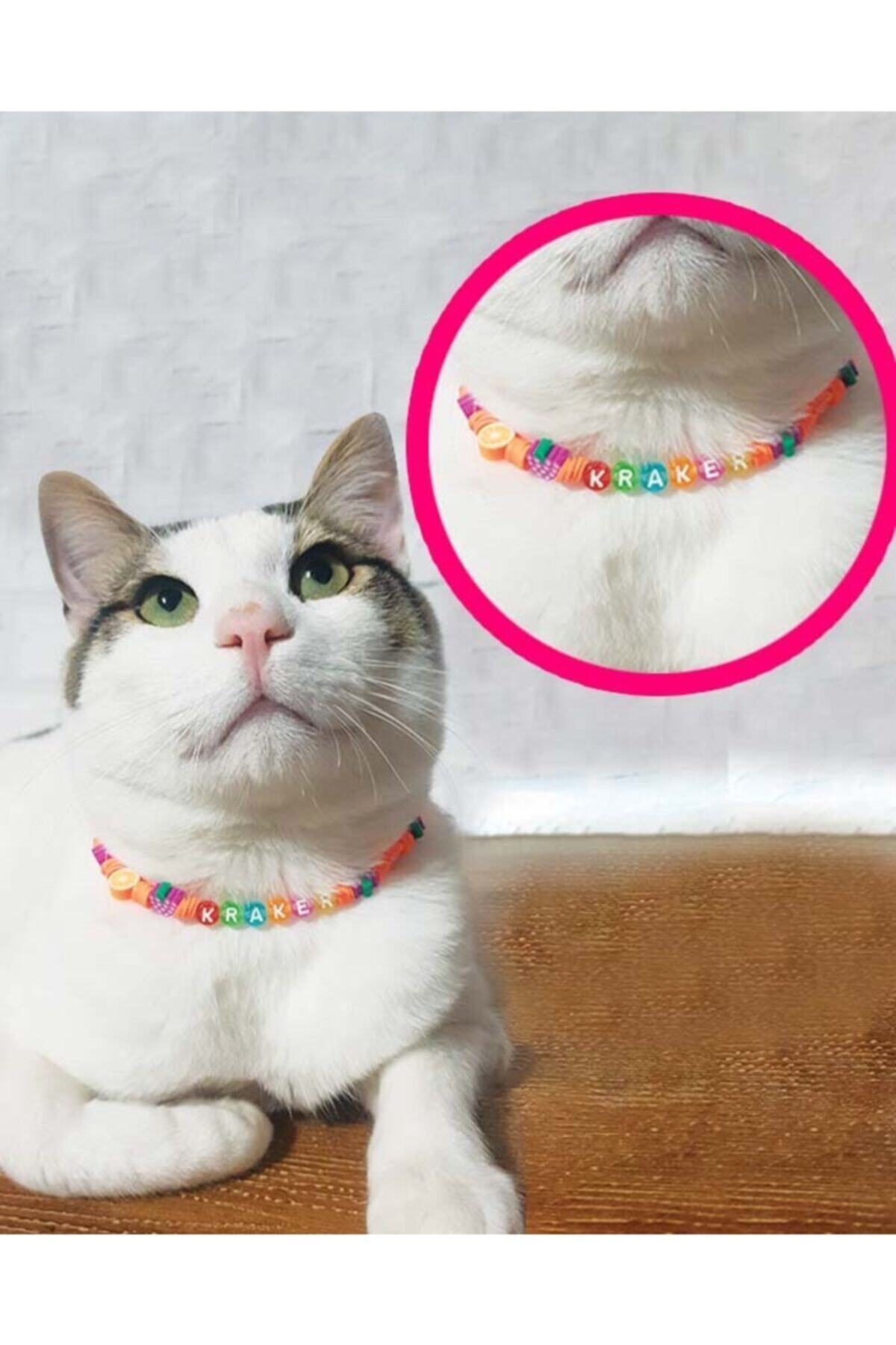 Kanguru Shopping mall Kedi Tasması Kedi Kolyesi