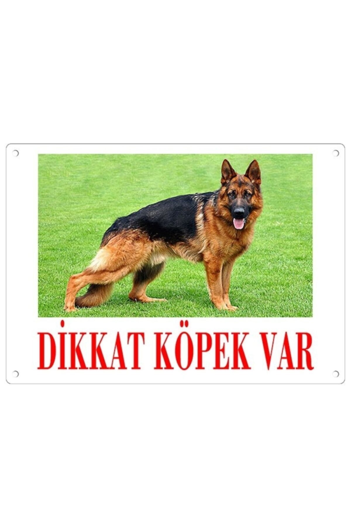 altın pati Dikkat Köpek Var Uyarı Levhası (renkli Alman Kurdu)