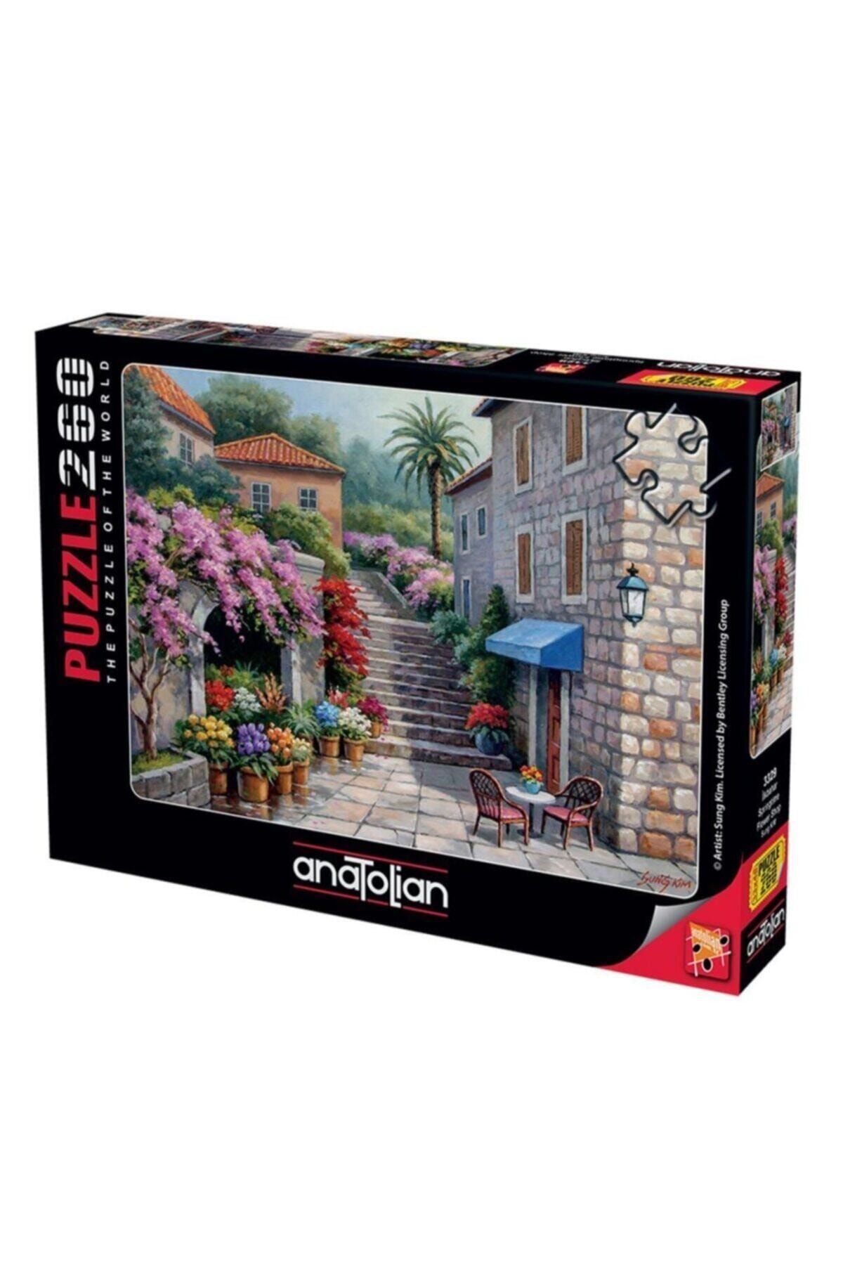 Anatolian Puzzle Ilkbahar 260 Parça Puzzle
