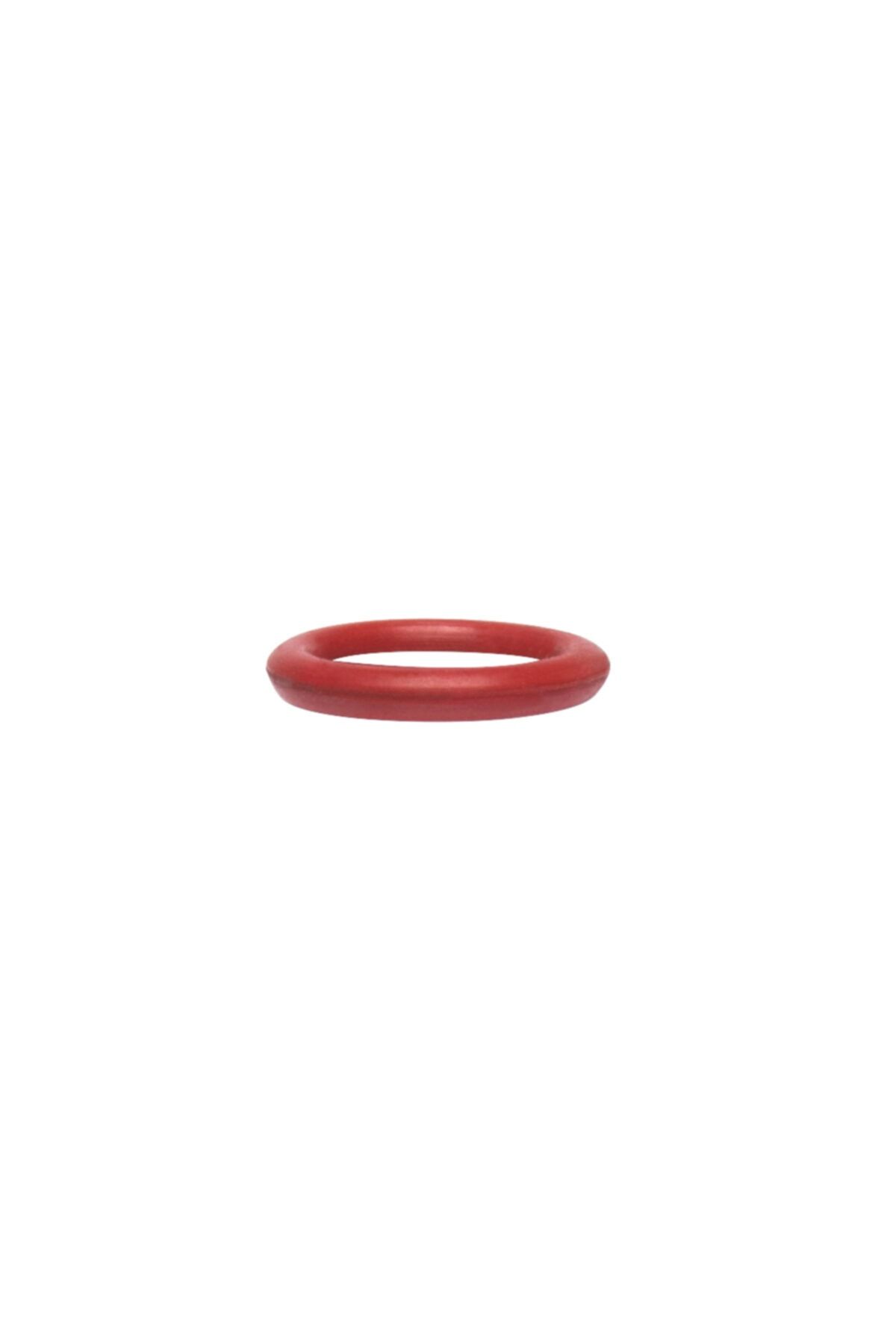 iwata Hava Valfi O-ring