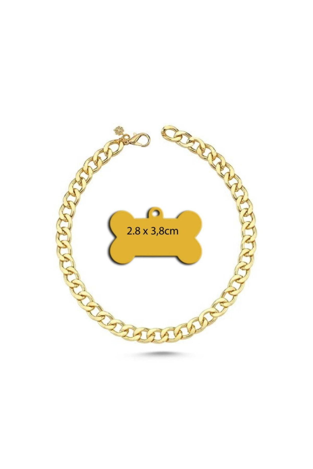 altın pati Kedi Köpek Kolyesi - Gold-25 Cm+çelik Kaplama Kemik Şeklinde Künye(yavru Ve Küçük Irk Köpekler)