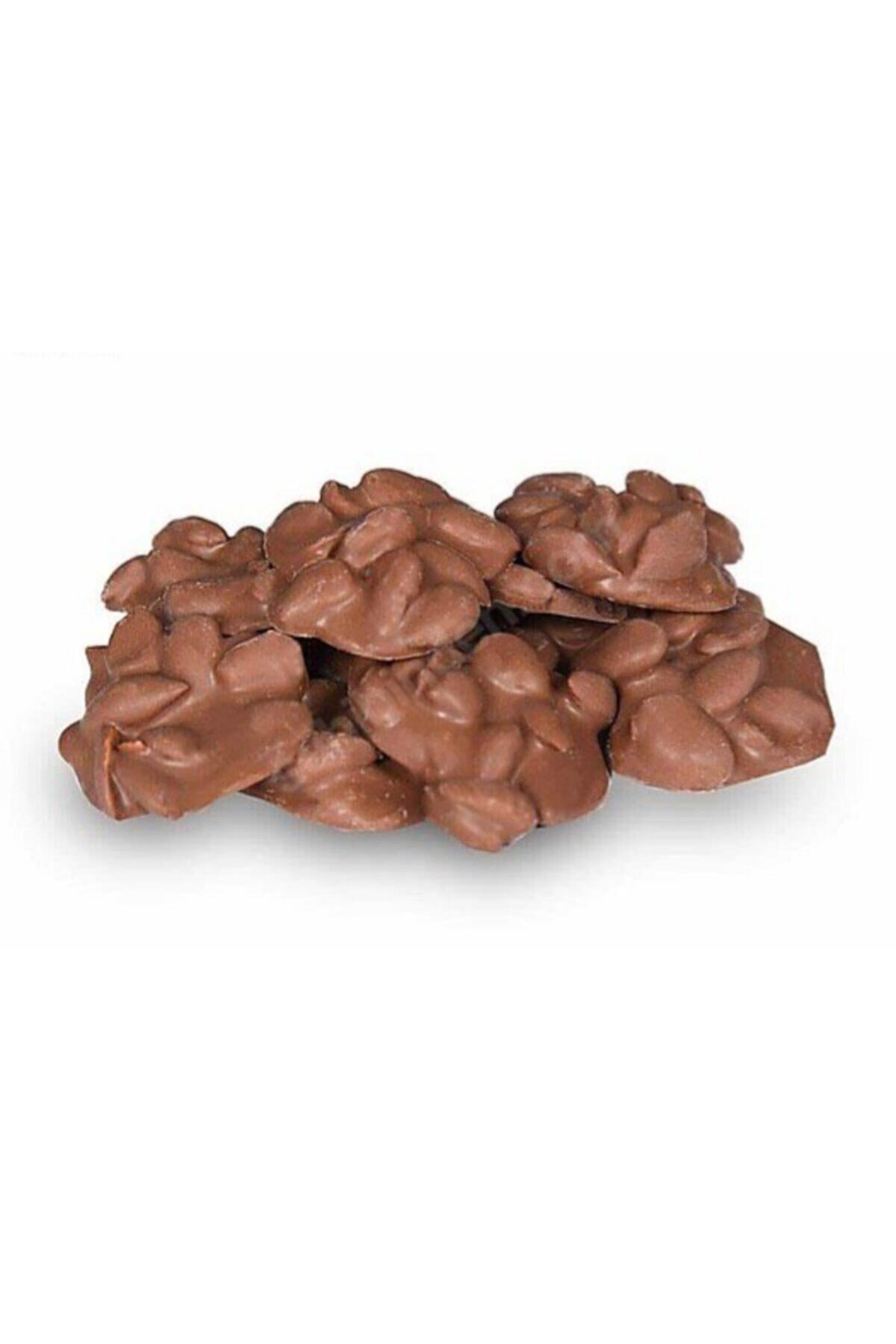 fil doğal kuru meyve 500 gr Kayısı Çekirdekli Çikolata