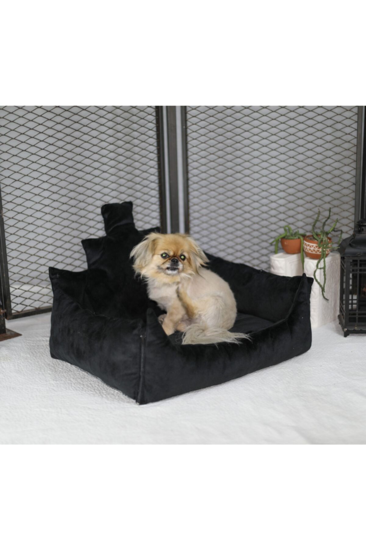 Noxpaw Shadow Kedi Köpek Yatağı