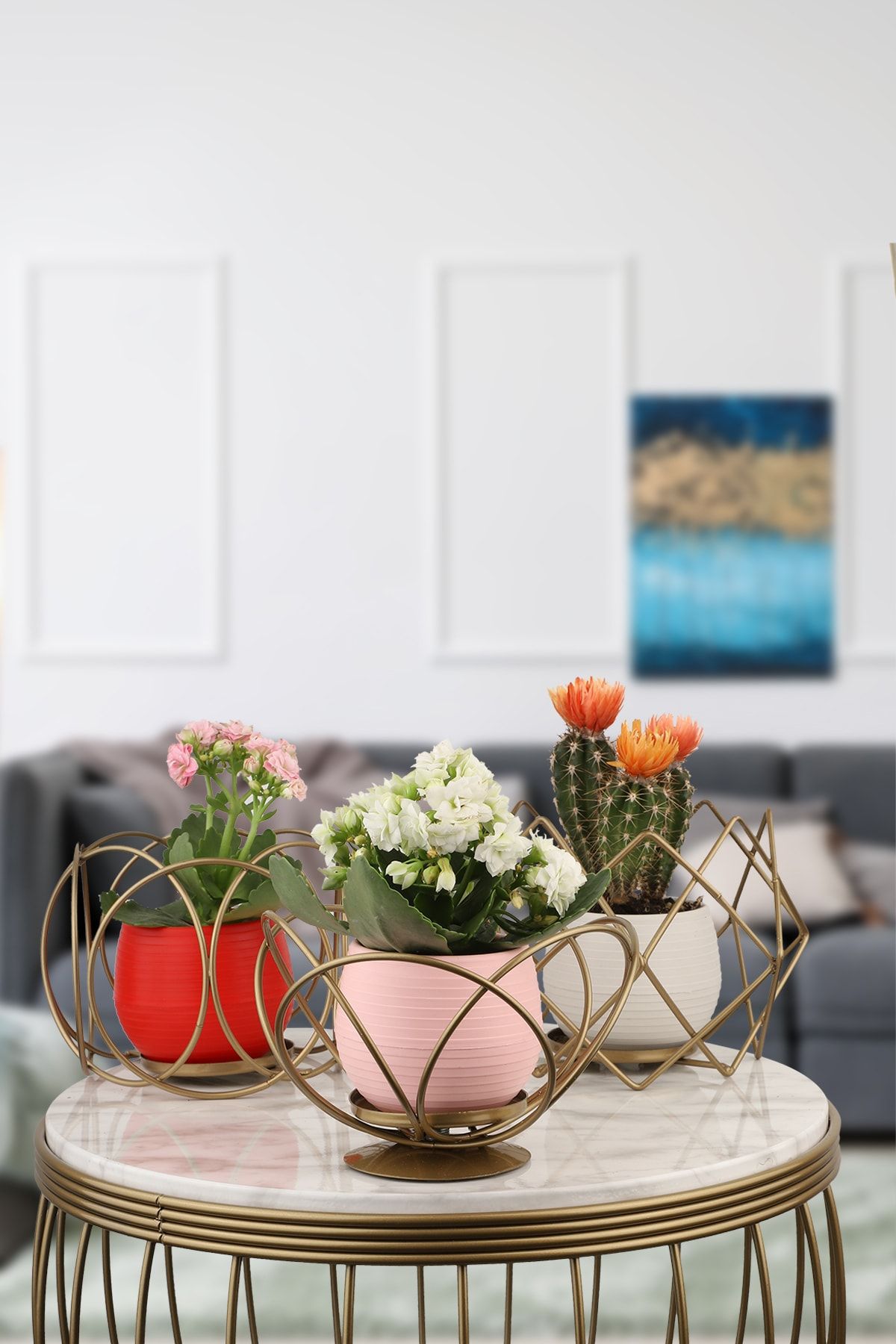 Begüsa Dekoratif Saksılık 3 lü Set Eskitme 3 Renk Saksı Hediyeli