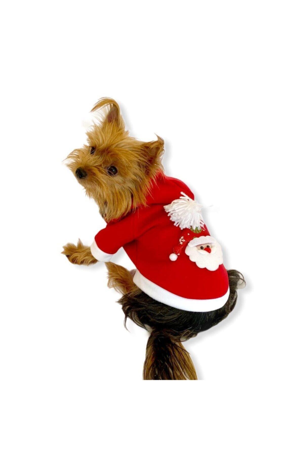 Kemique Santa Neo Kapşonlu Polar Noel Yılbaşı Köpek Sweati