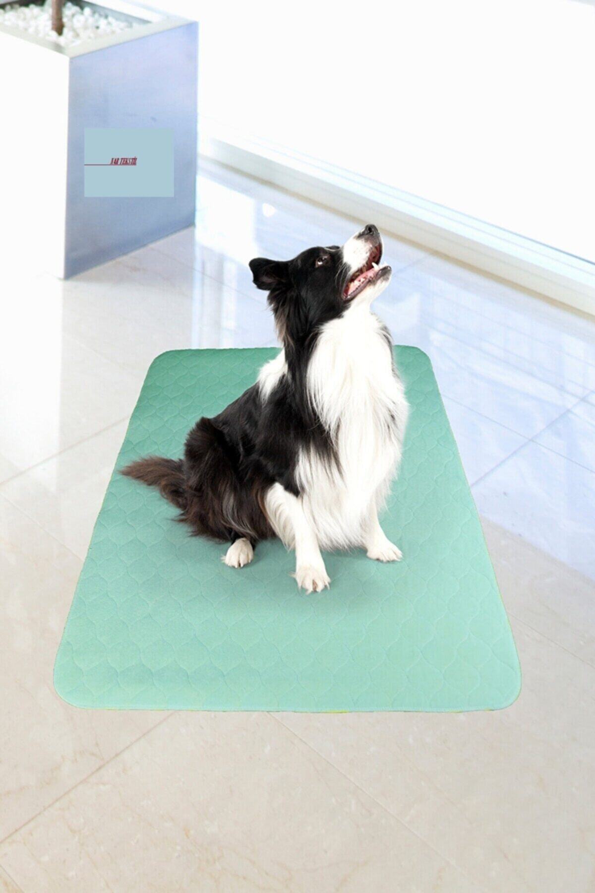 NAR TEKSTİL Yıkanabilir Sızdırmaz Köpek Çiş Pedi