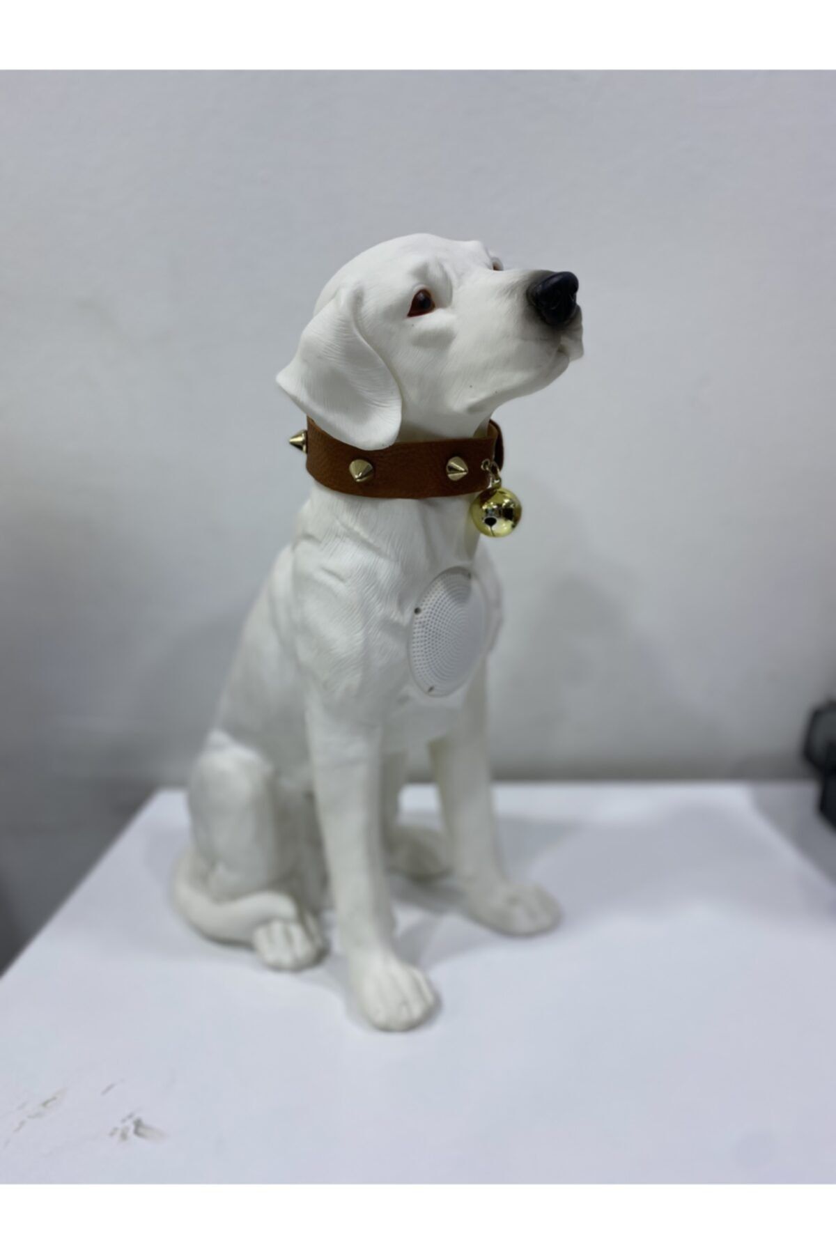 Digital Audio Köpekli Müzik Çalar (, Micro Sd Hafıza Kartı , Flash Bellek Girişli )