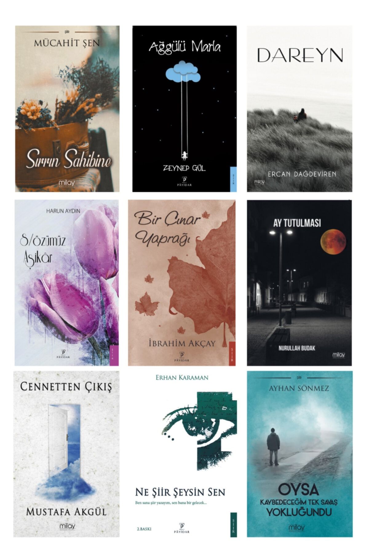 Payidar Yayınları Şiir Ve Şairler Seti (9 Kitap)