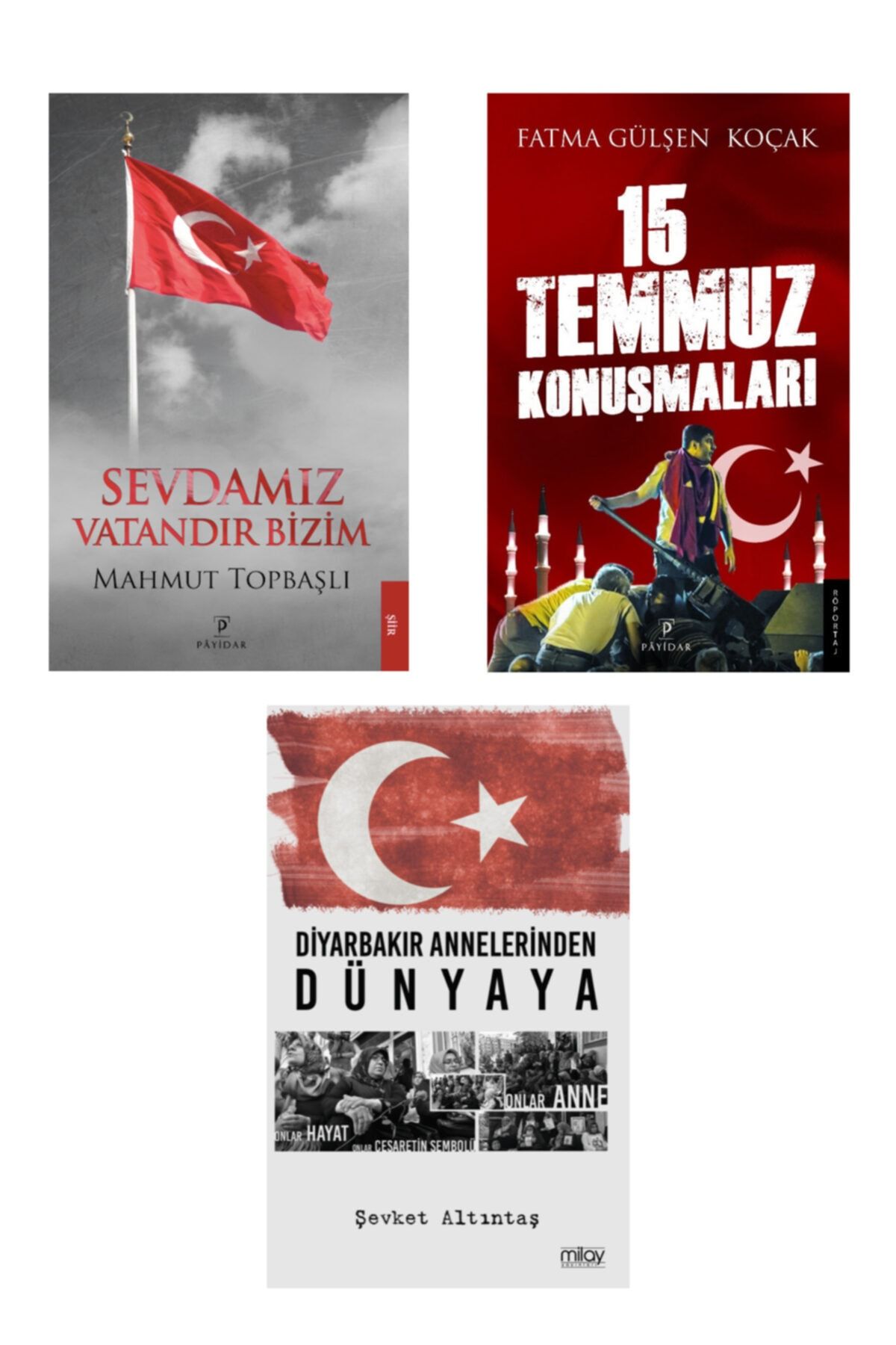 Payidar Yayınları Ay Yıldız (güncel Olaylar) Seti ( 3 Kitap )
