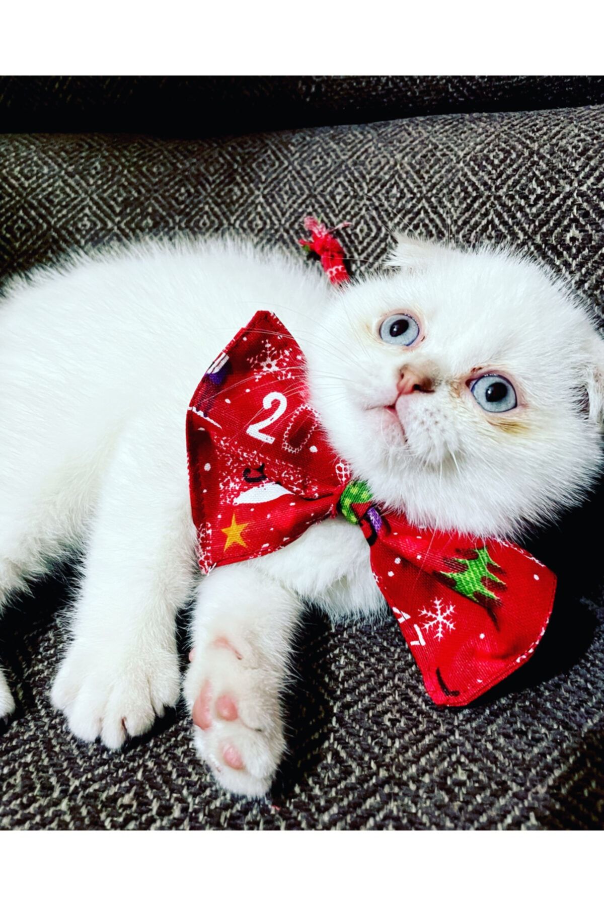 SanaHediyemVar Kedi Ve Köpek Için Yılbaşı Papyonu