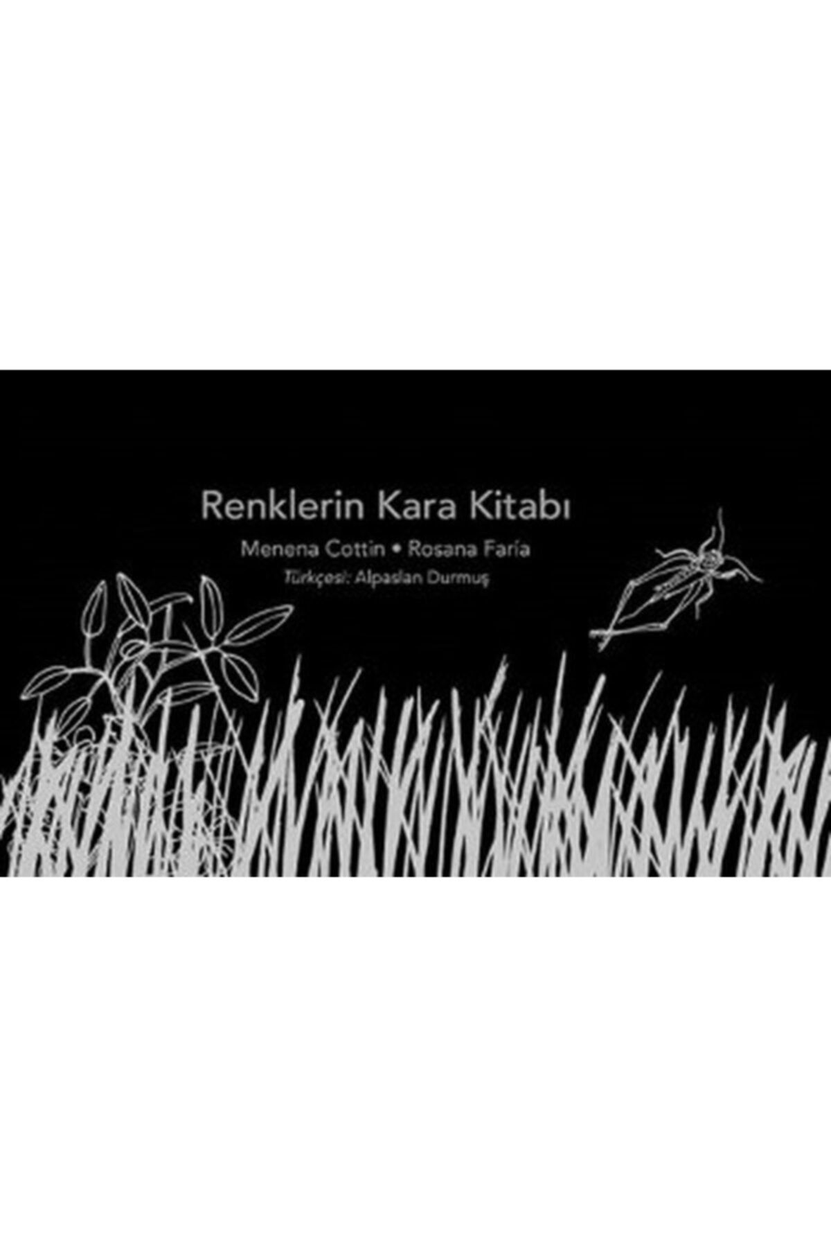 Edam Yayınları Renklerin Kara Kitabı