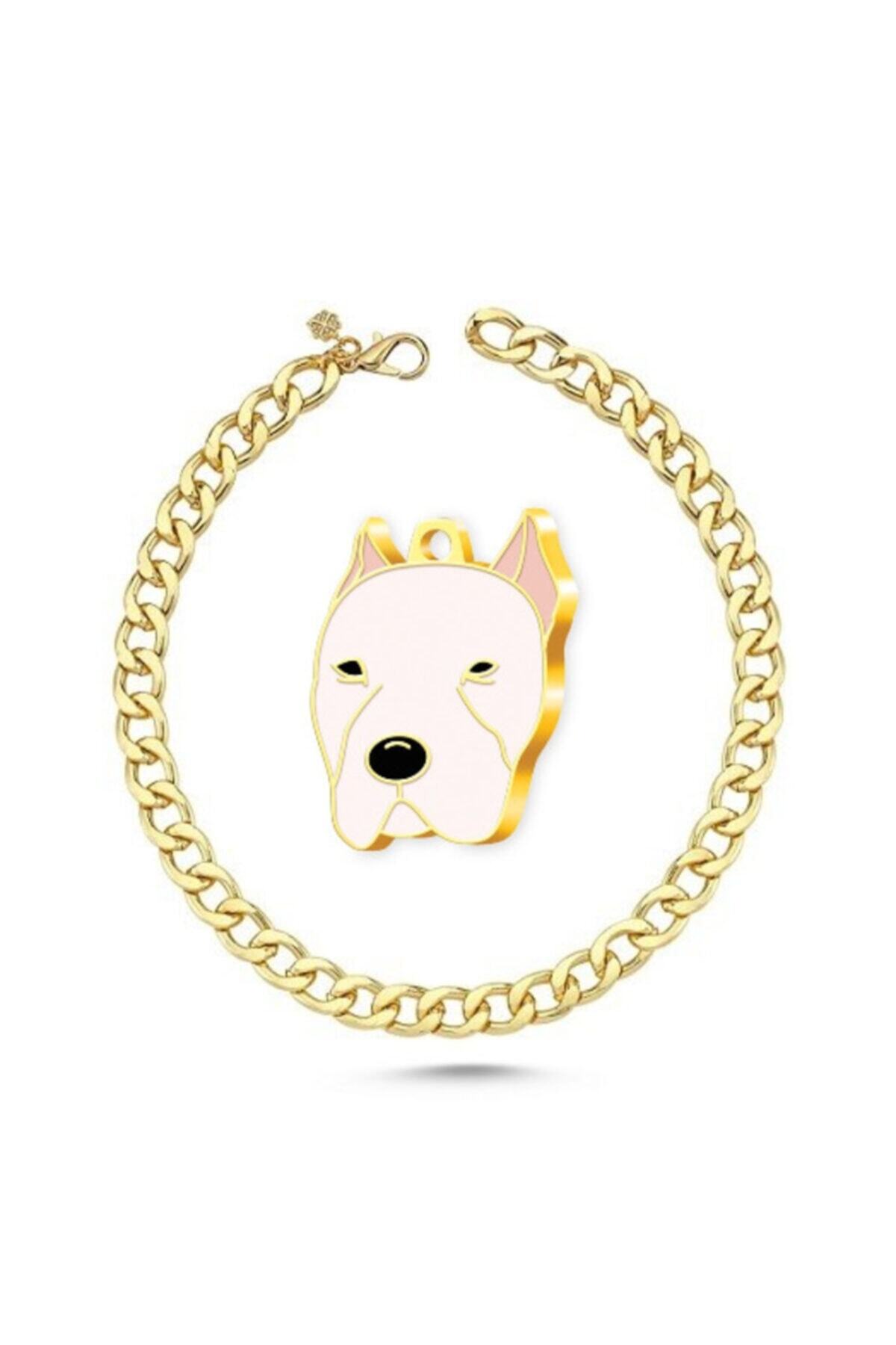altın pati Altın Kaplama Dogo Argentino Köpek Künyesi+Gold Kolye