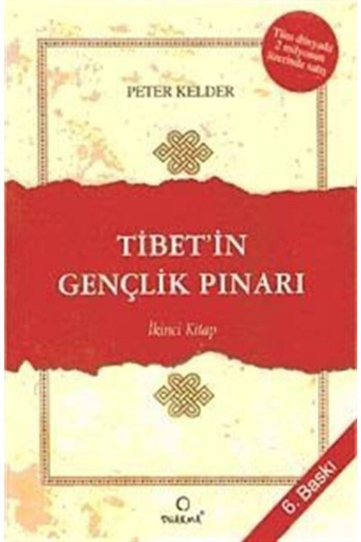 Dharma Yayınları Tibet'in Gençlik Pınarı 2. Kitap