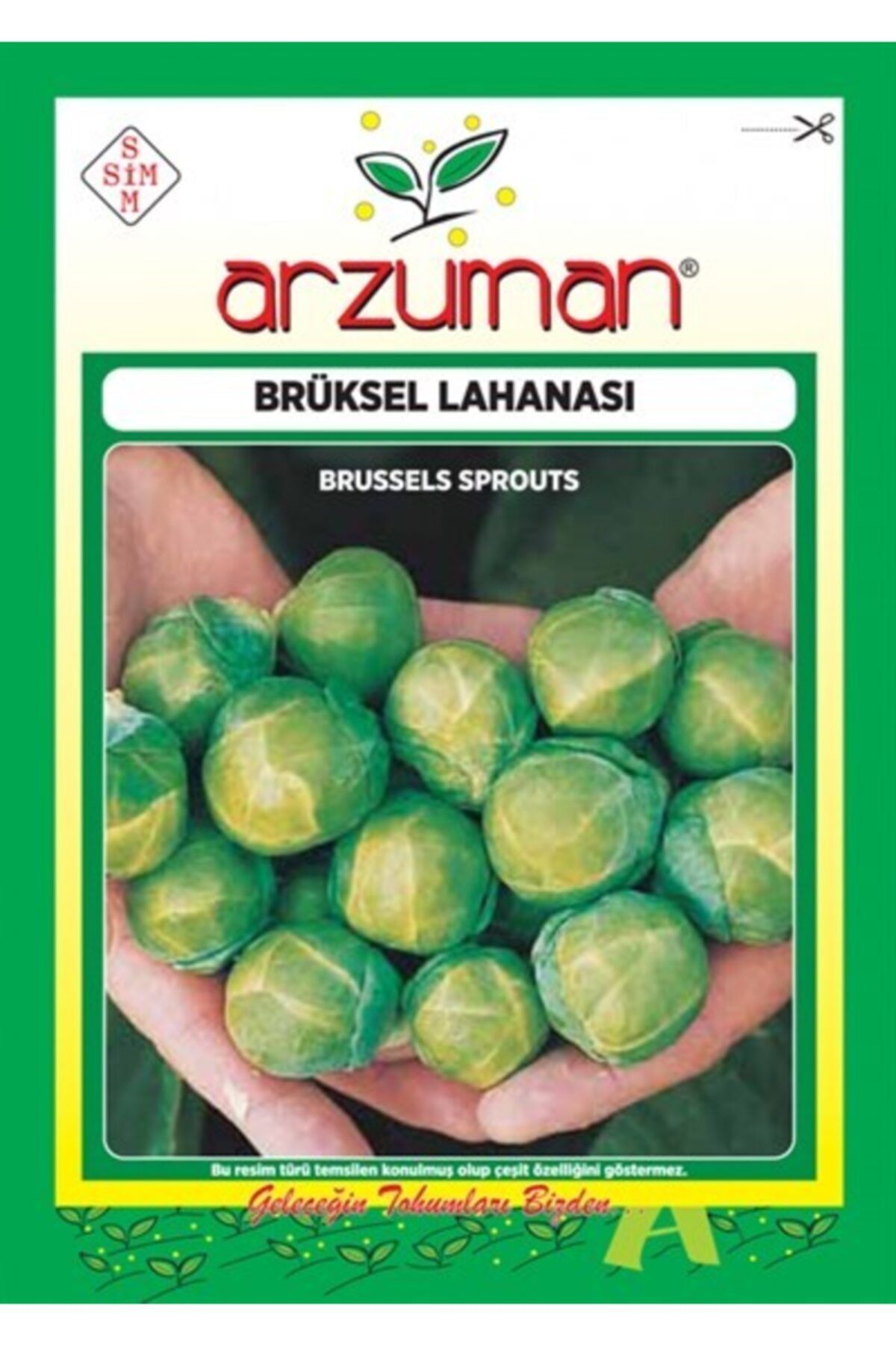 Arzuman Tohum Arzuman Sebze Brüksel Lahana Tohumu