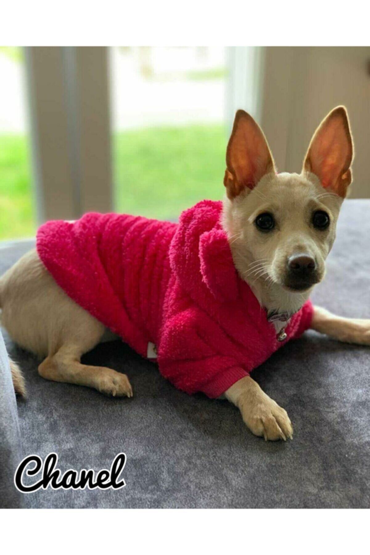 MİNİŞ PET BUTİK Pembe Panda Kulaklı Peluş Kapşonlu Kedi Köpek Sweatshırt