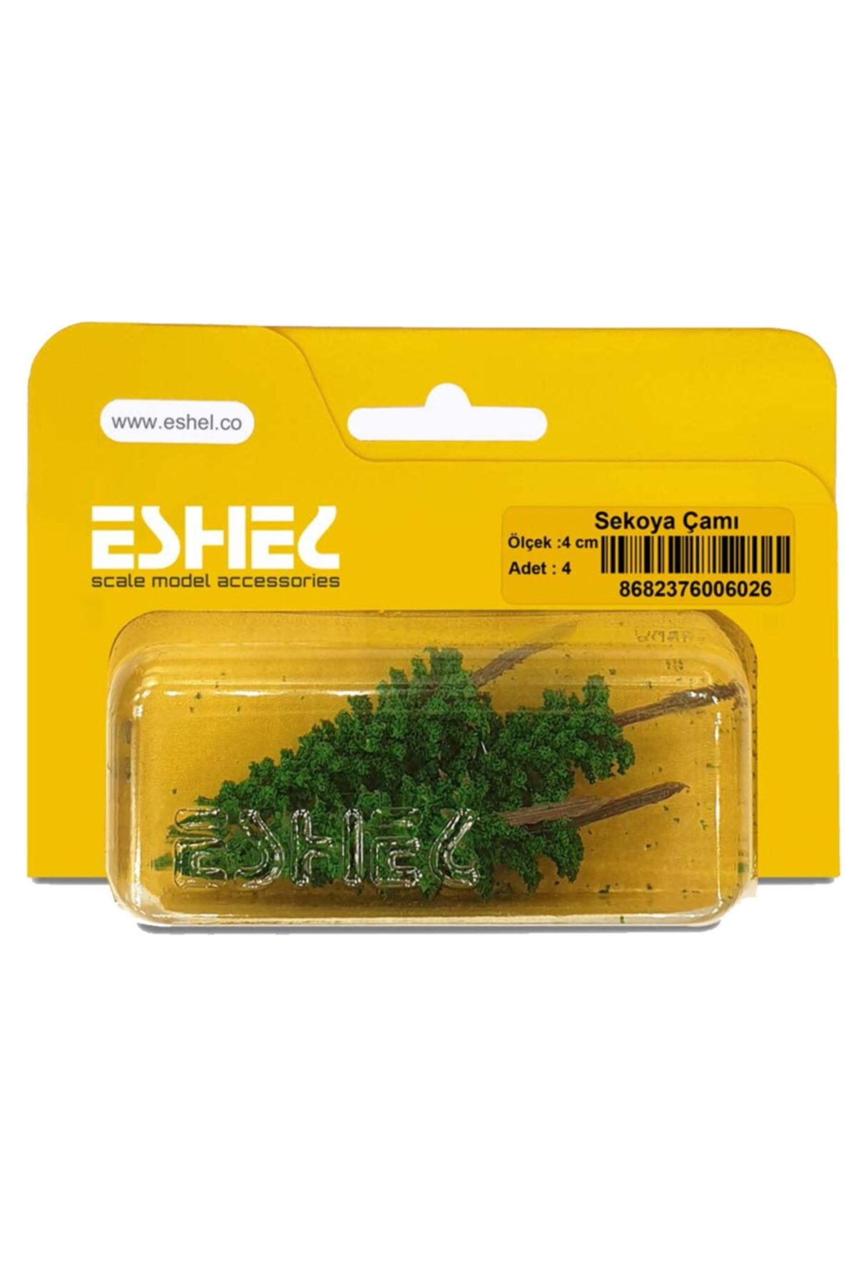 Eshel Sekoya Çamı 4 cm 4 Lü
