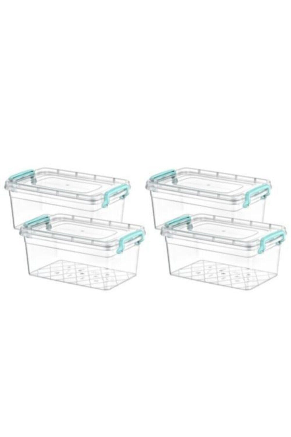 Kivi Home Plastik Kutu 4 Lü Kapaklı Saplı Saklama Kabı 2 lt 14x22x10