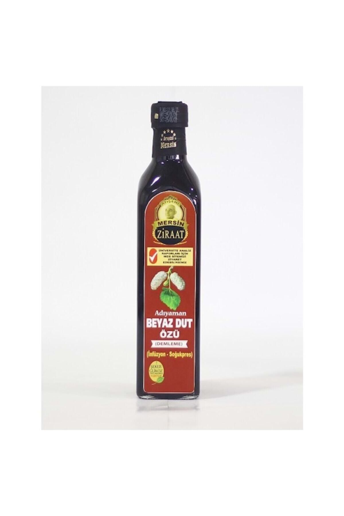 Atışeri Beyaz Dut Özü 700 gr