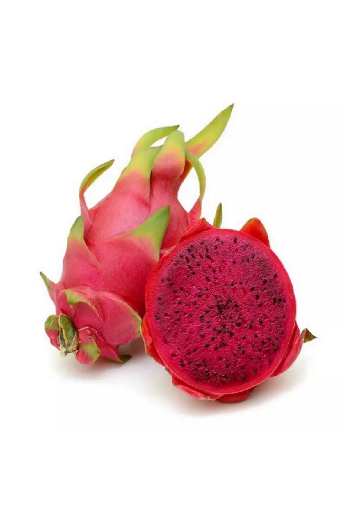 Tohum Dünyam Kırmızı Ejder Meyvesi Tohumu / 5 Adet Pitaya Tohumu