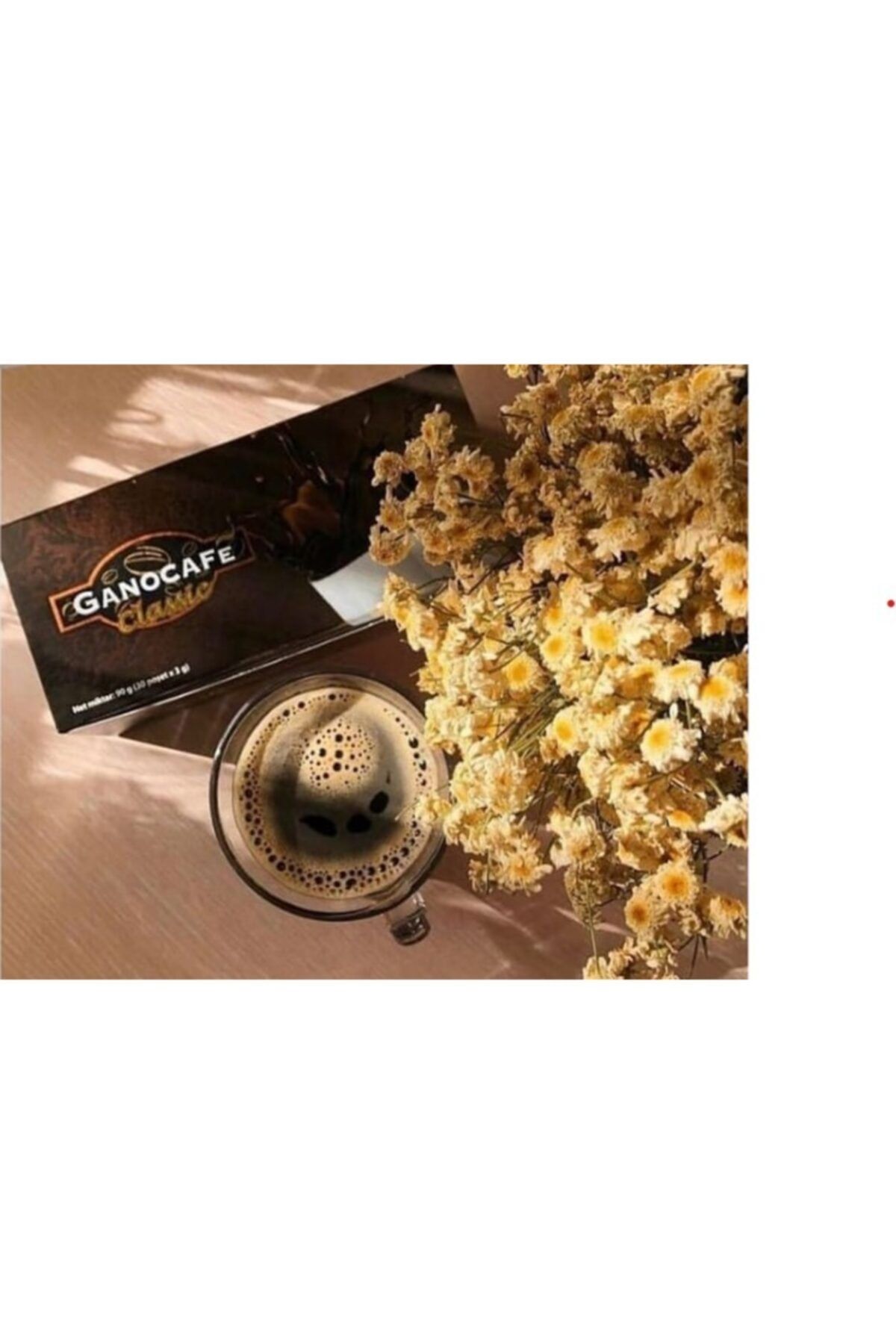Gano Cafe Ganocafé Classıc,3 Gr. (1 PAKET) 30 Adet