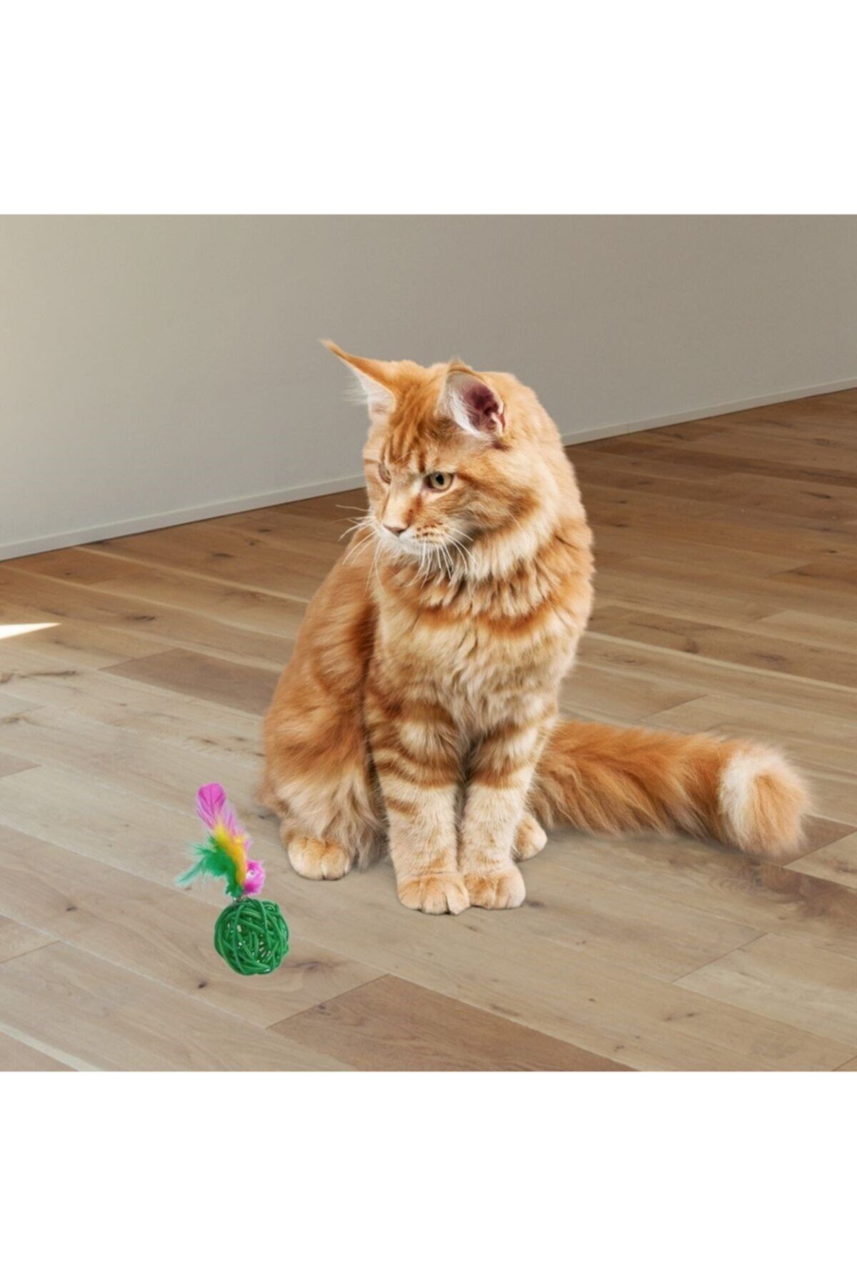 5DM ® 2li Rattan Renkli Peluş Tüy Kedi Köpek Oyuncak Yakalama Çiğneme Çıngıraklı Top Oyuncağı