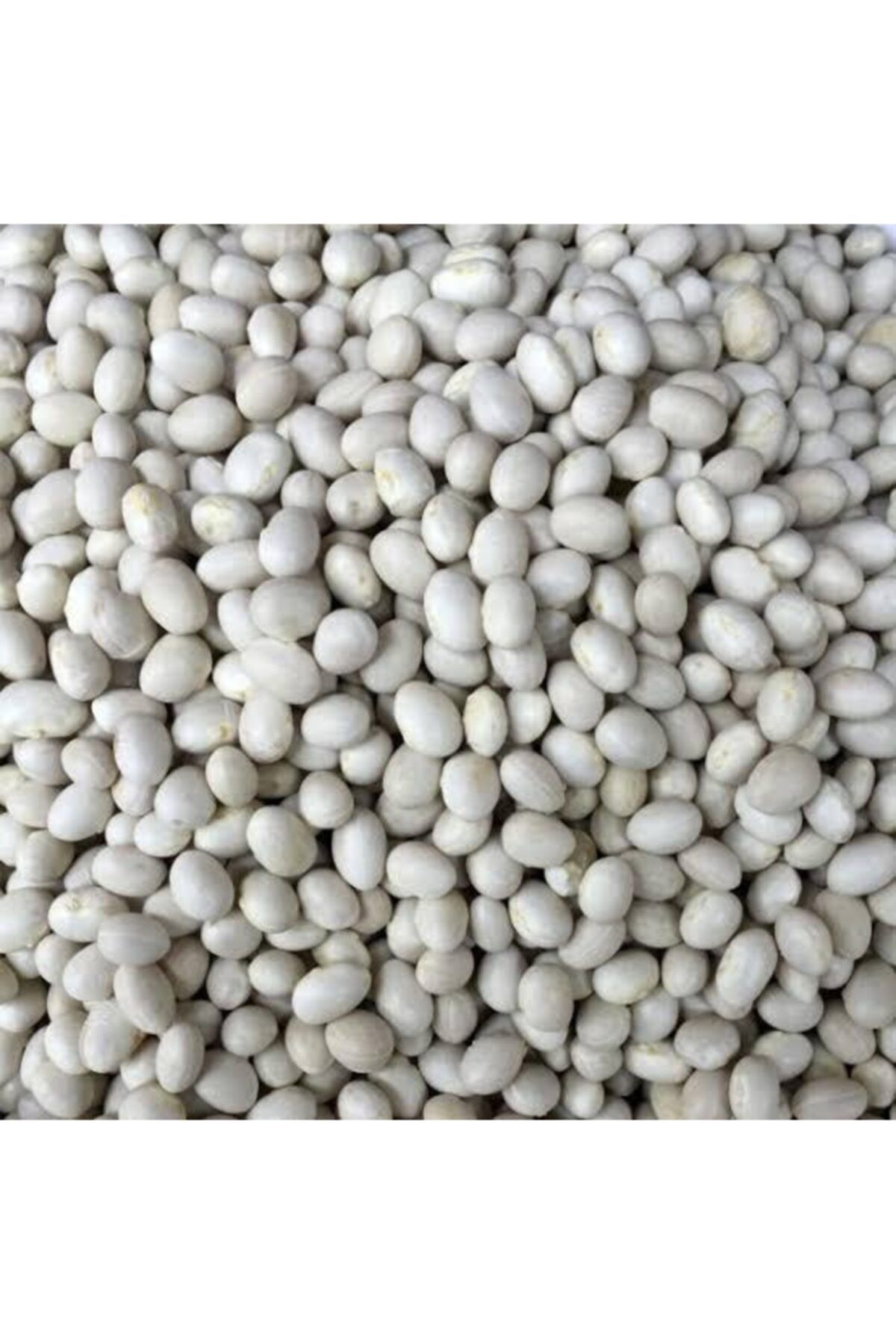 ERZURUM YÖRESEL ÜRÜNLER Erzurum Ispir Fasulyesi Çayeli Fasulyesi 1 kg