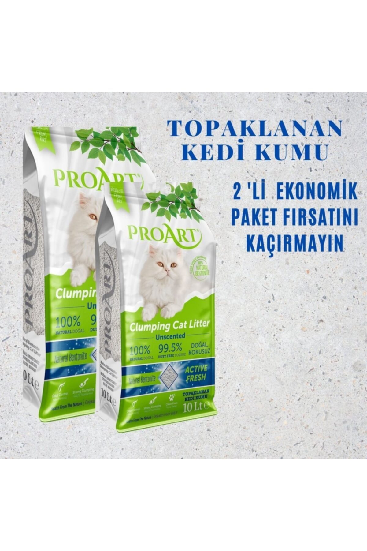 proart Kedi Kumu Natural Doğal Kokusuz 10 Ltx2