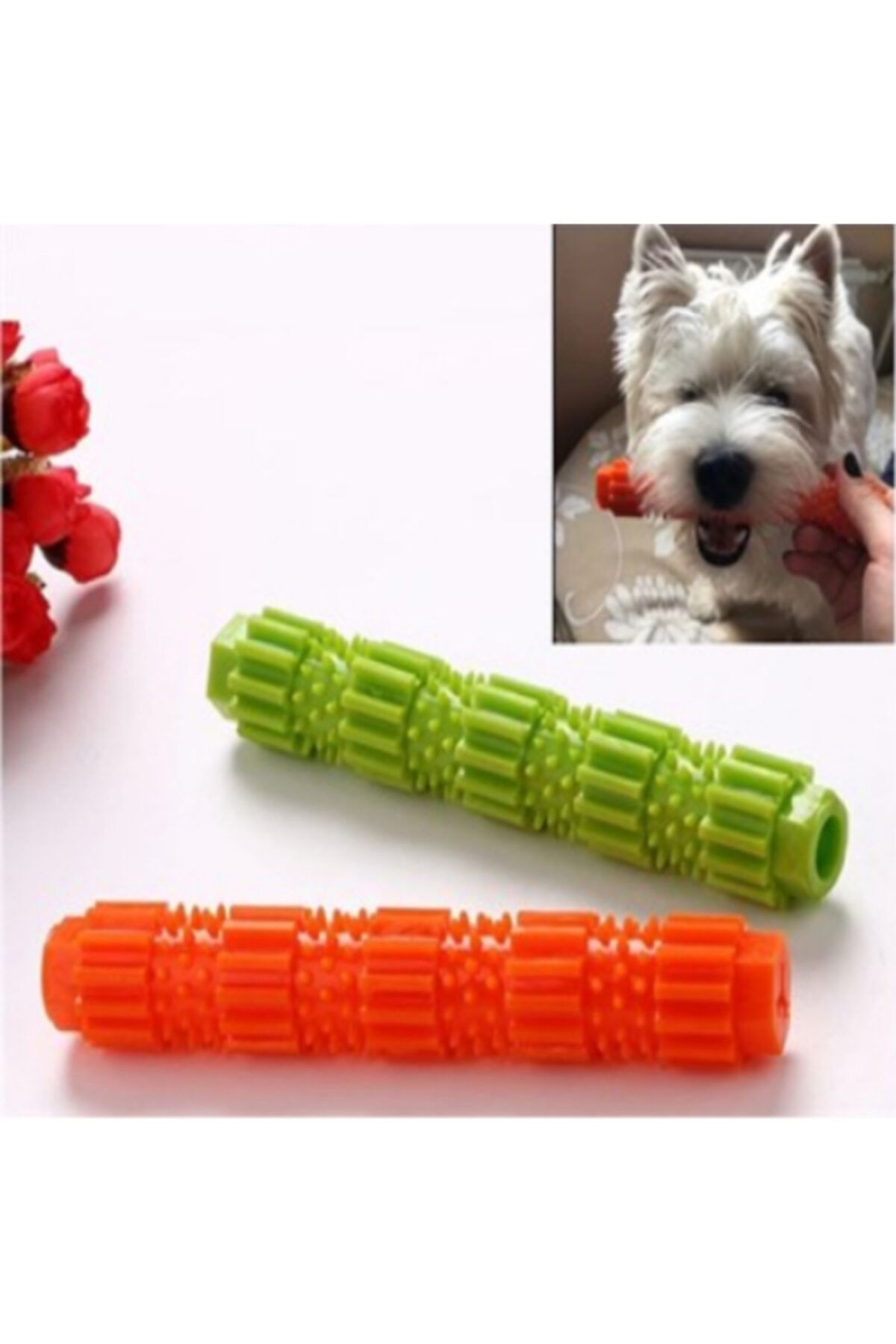 OZCMAX Köpek Diş Fırçası