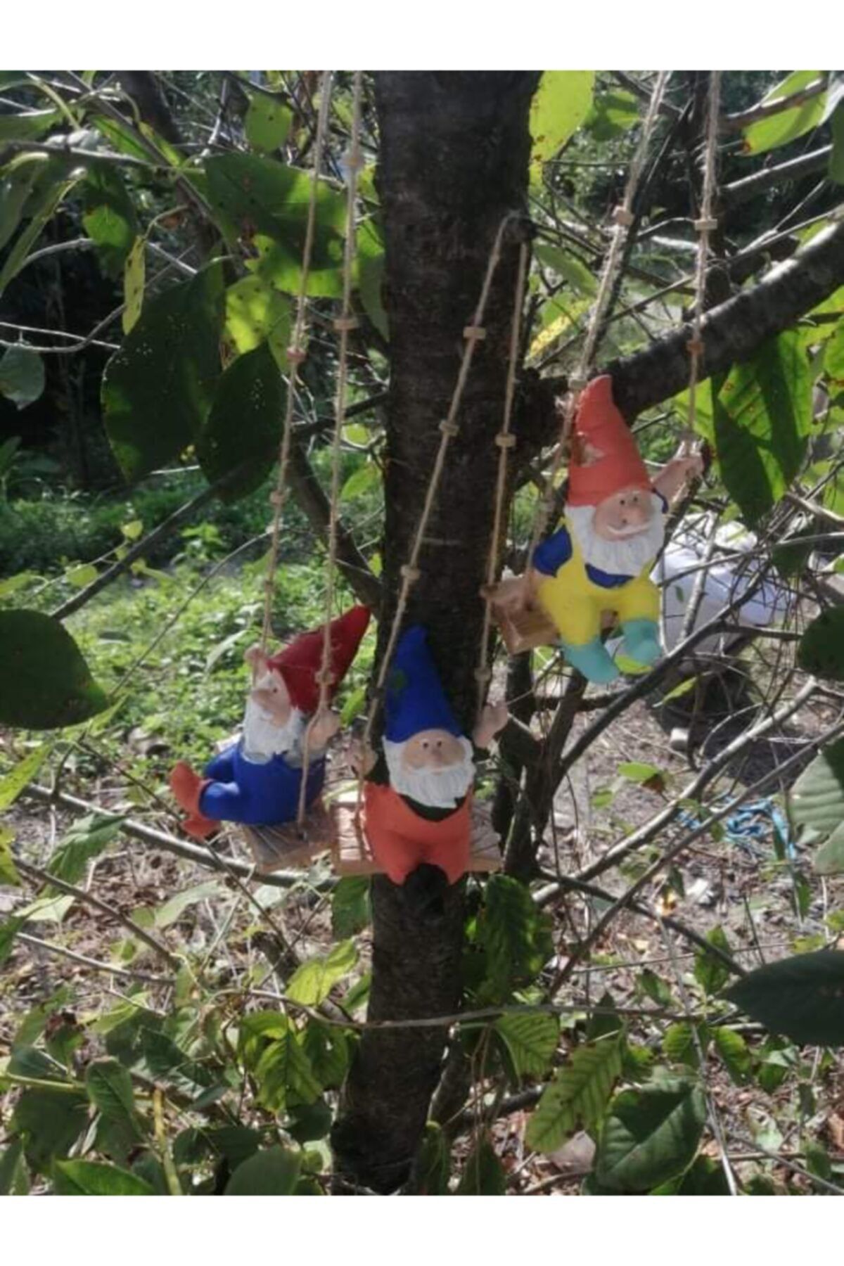 Alanyatropikal 3 Adet Cüce Bahçe Süsü