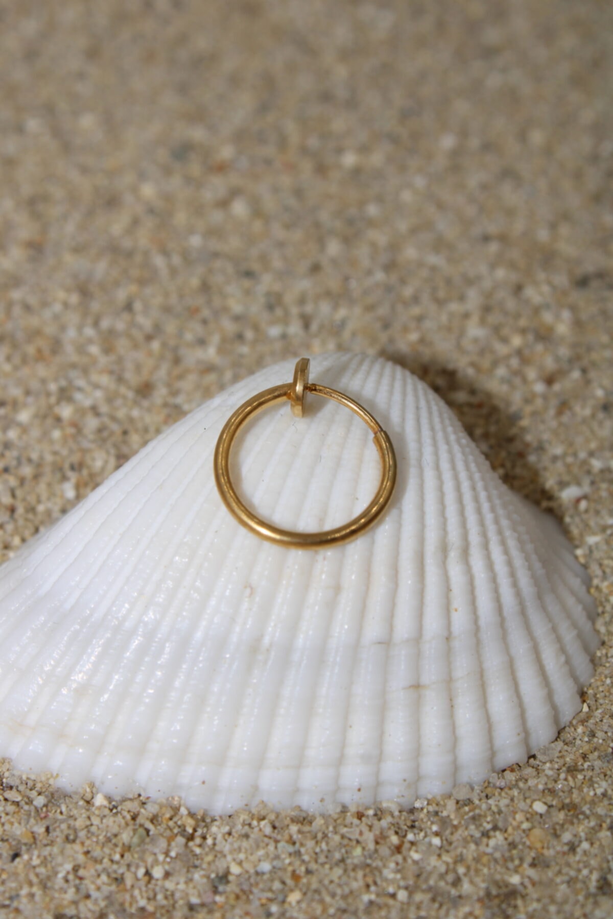 NOBLE GETTO Piercing Cerrahi Çelik Tragus, Conch, Helix Ve Septum Sıkıştırma Halka Gold Renk