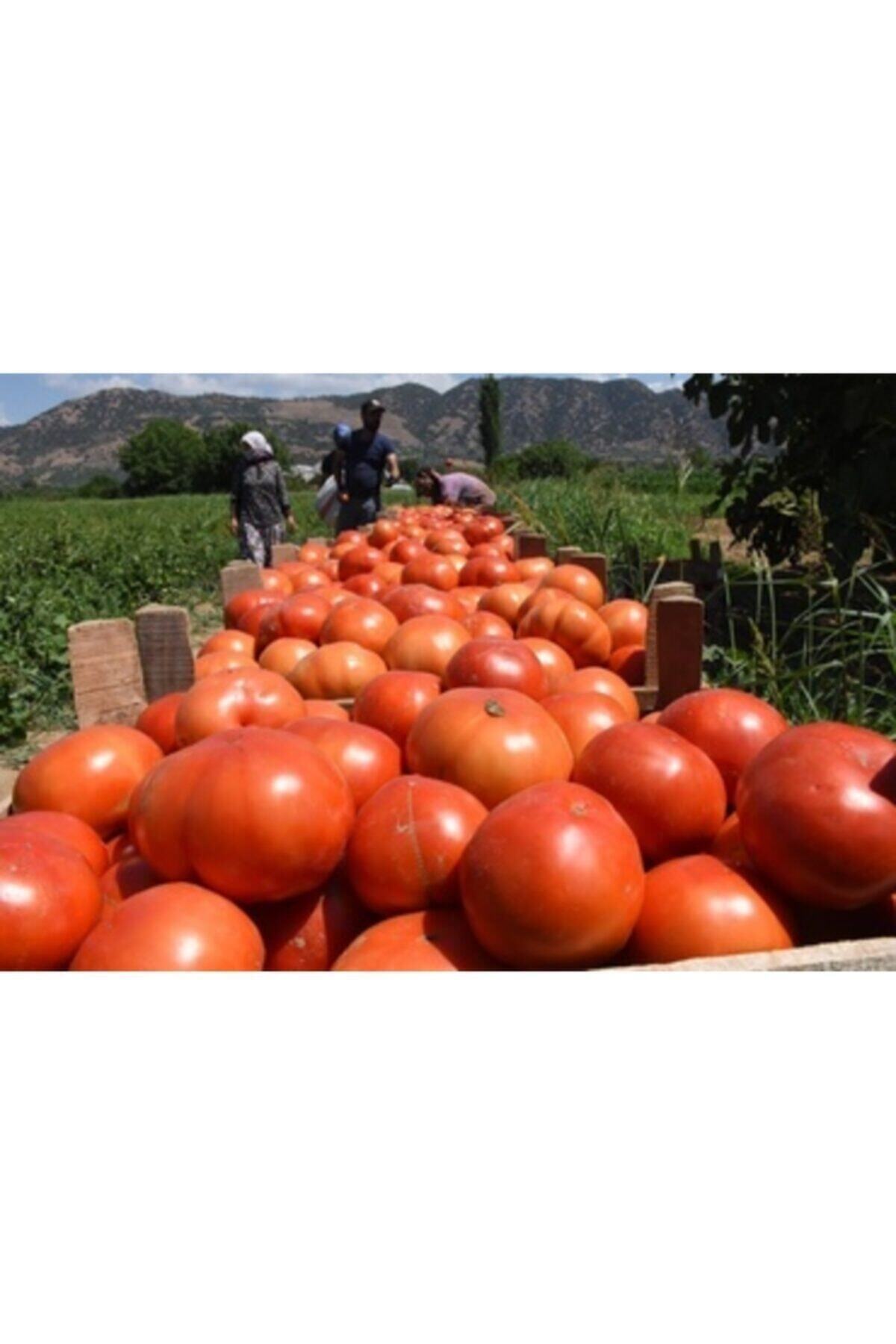 Doğal Damates 1 Kg