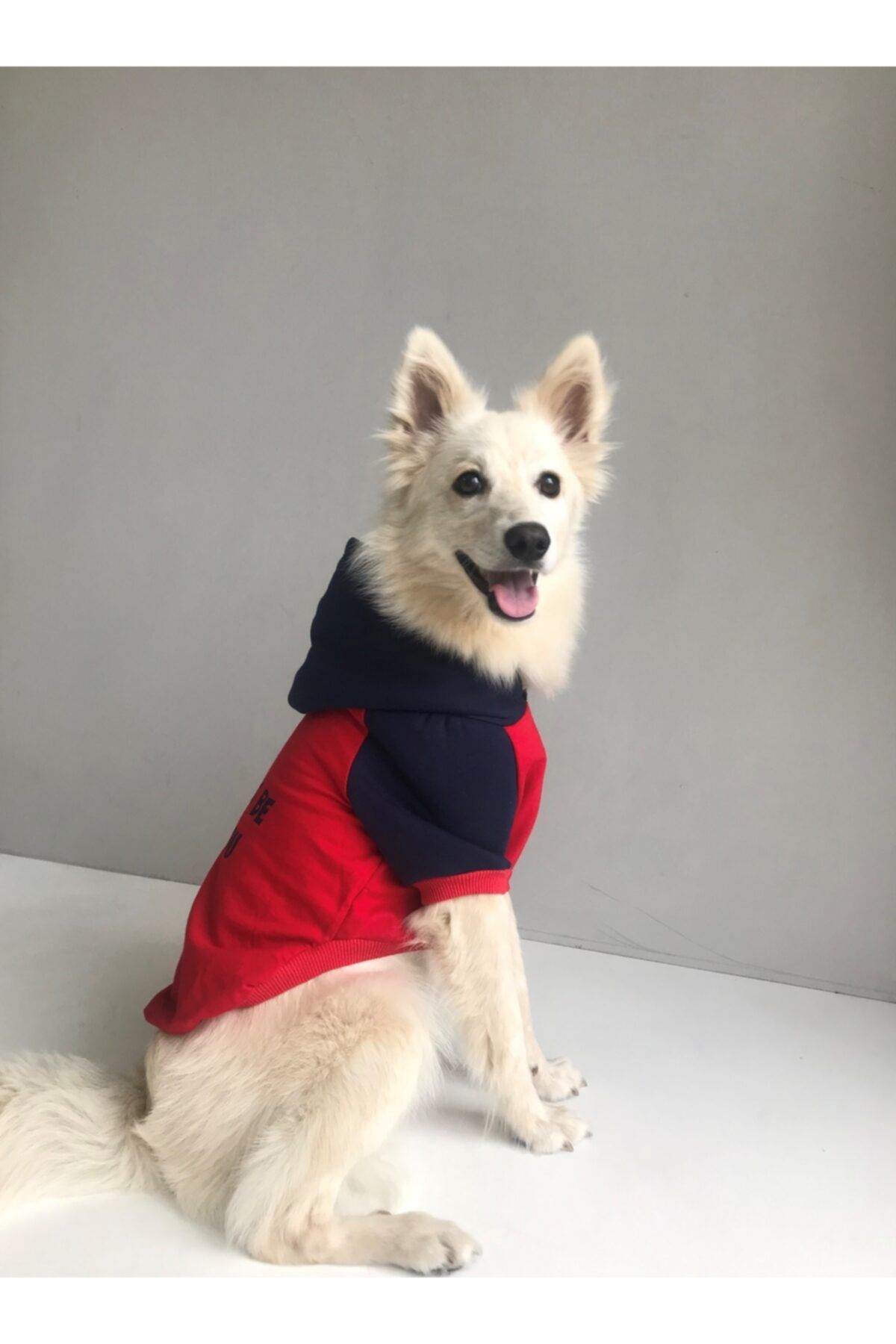 Ponchic Baskılı Ve Kapşonlu Kedi Köpek Sweatshirt