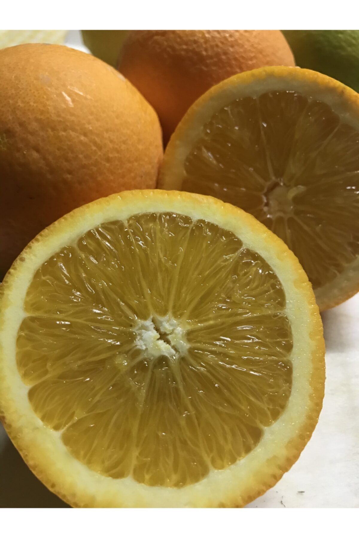 Aydın Naturel Bahçe Portakal 3 Kilo