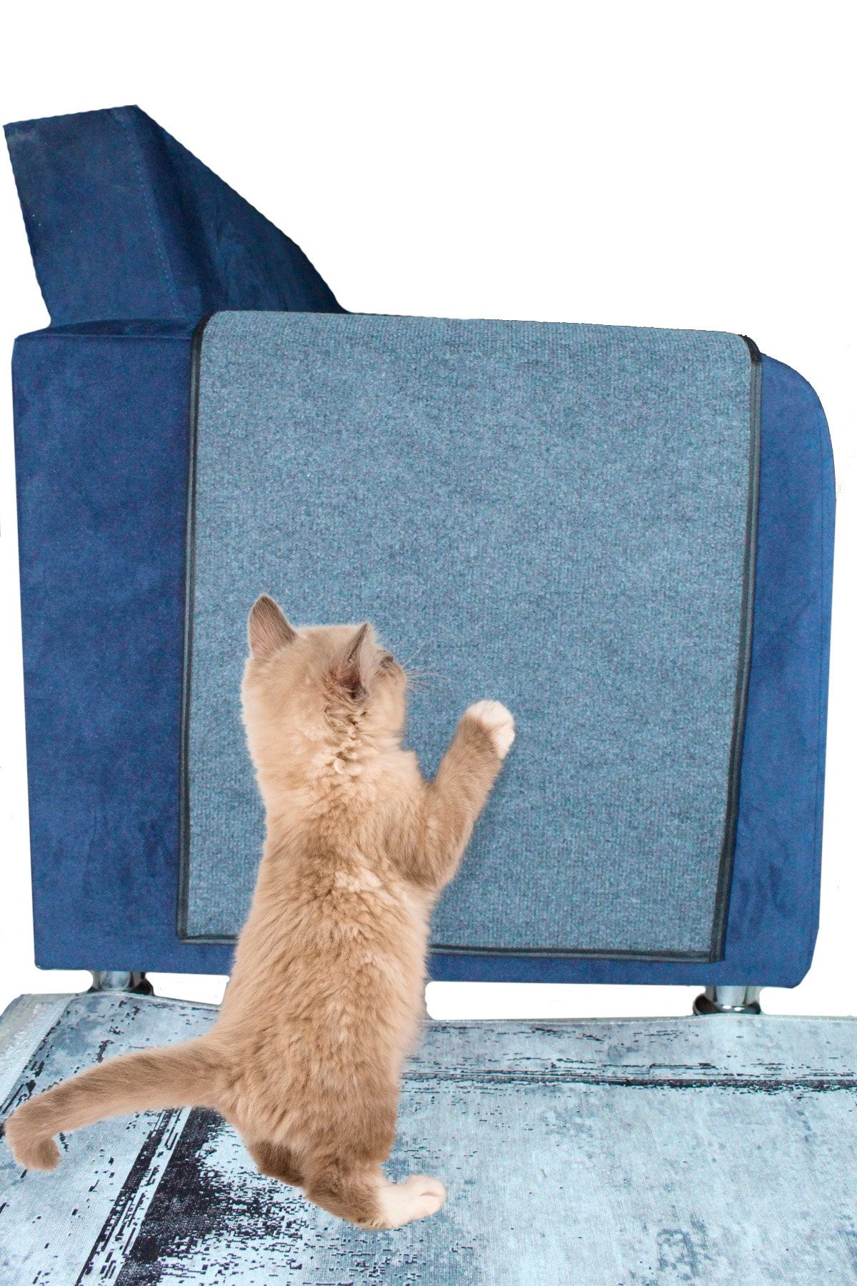 BYPET Koltuk Kenarı Koruyucu Kedi Tırmalama Halısı (50 CM X 100 CM)